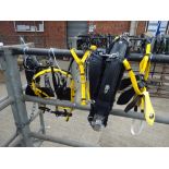 Set of black/yellow quick hitch cob size trotting harness - carries VAT.