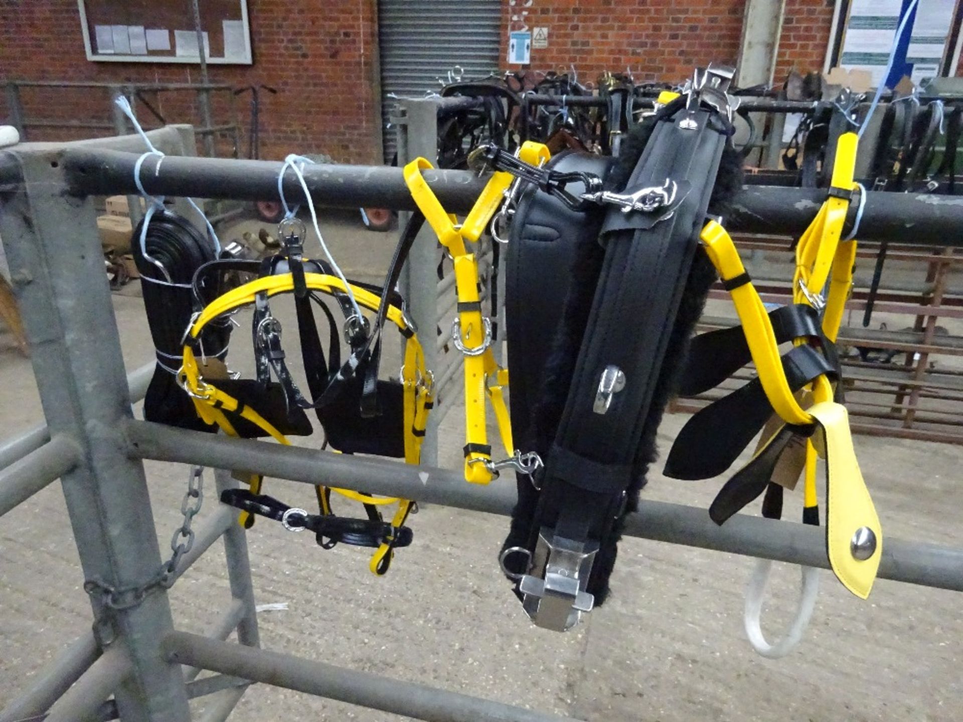 Set of black/yellow quick hitch cob size trotting harness - carries VAT.