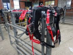 Set of black/red quick hitch pony size trotting harness - carries VAT.