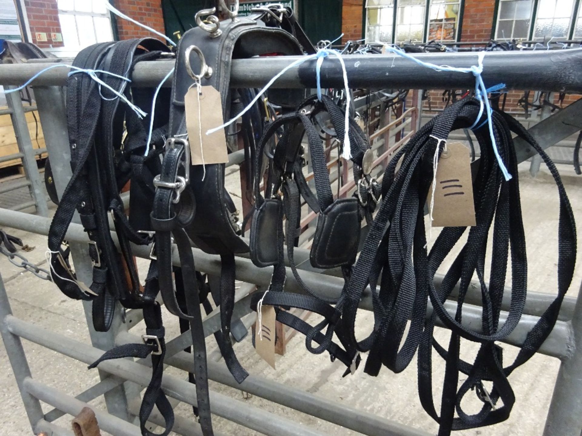 Set of webbing pony harness to suit 11 to 12hh. - Image 2 of 2