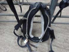 Set of cob size English working harness with collar approx. 21 x 8 inches - carries VAT