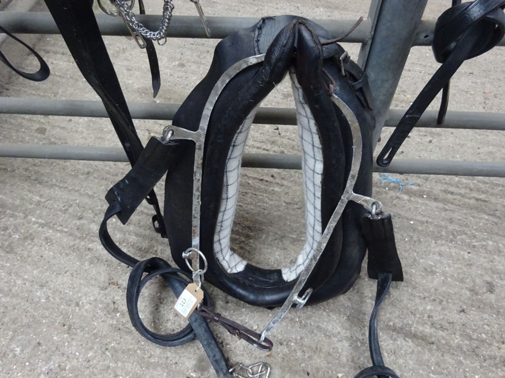 Set of cob size English working harness with collar approx. 21 x 8 inches - carries VAT