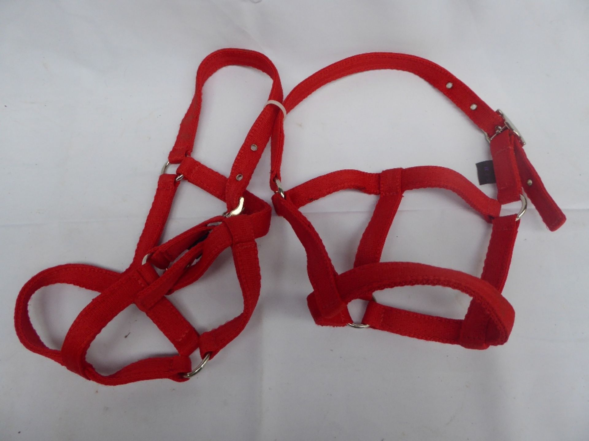 2 x red mini pony headcollars