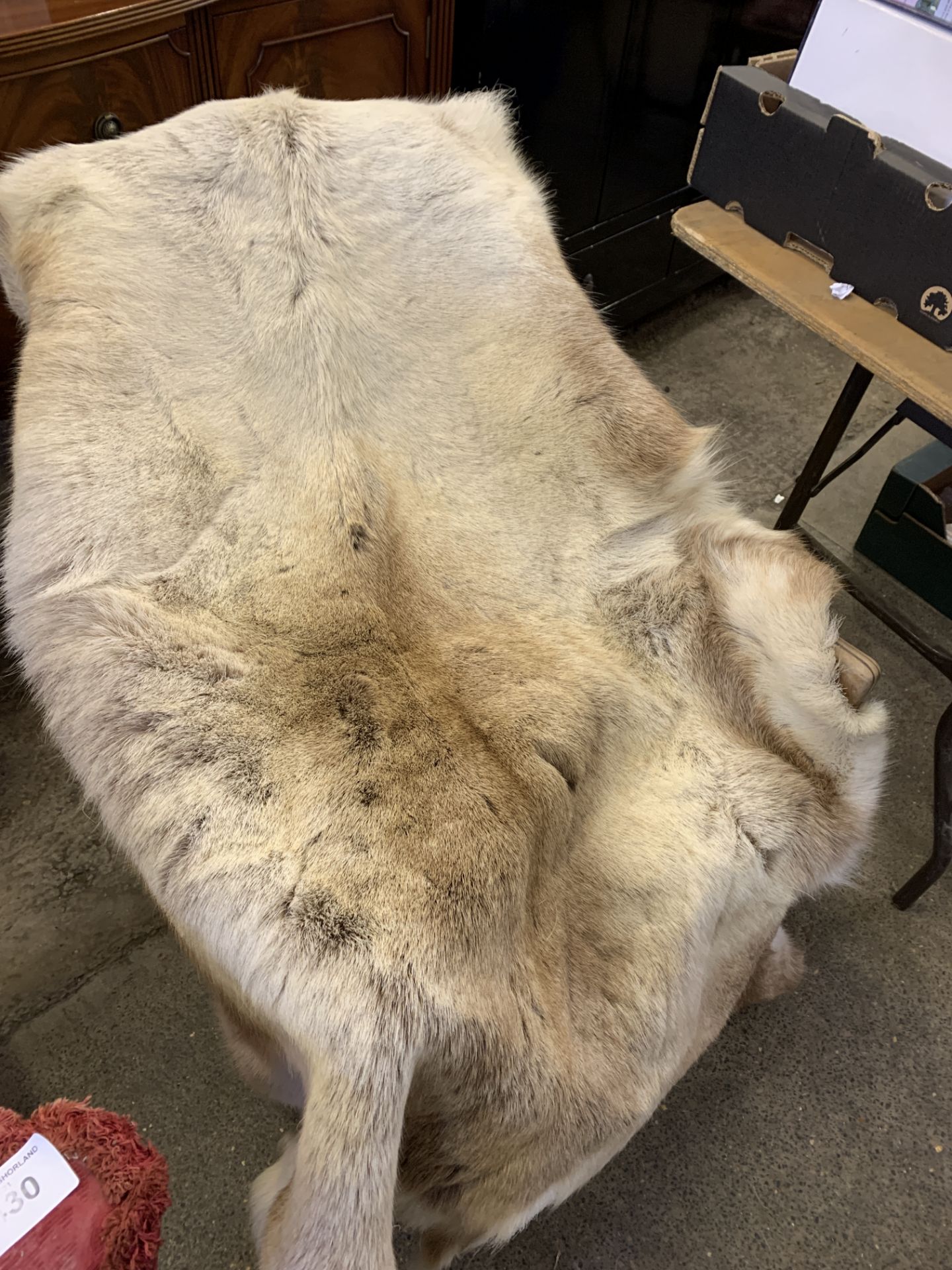 Reindeer skin rug.
