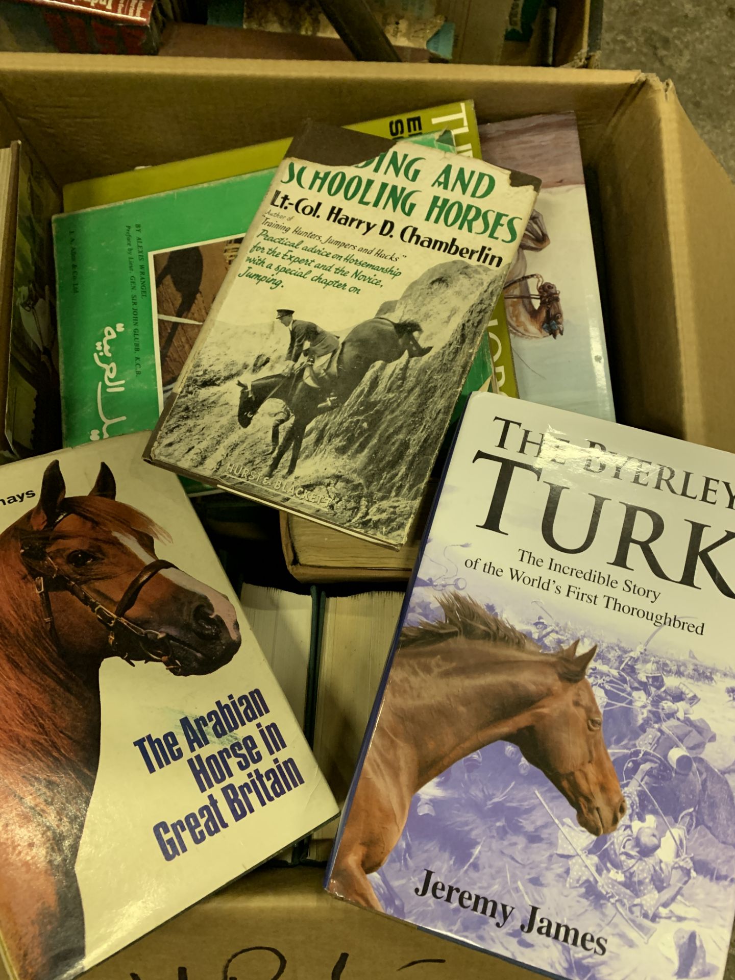 Box of books on horses.