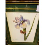 Set of nine framed and glazed French botanical prints.