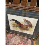 Set of four framed and glazed bird prints, and seven others.