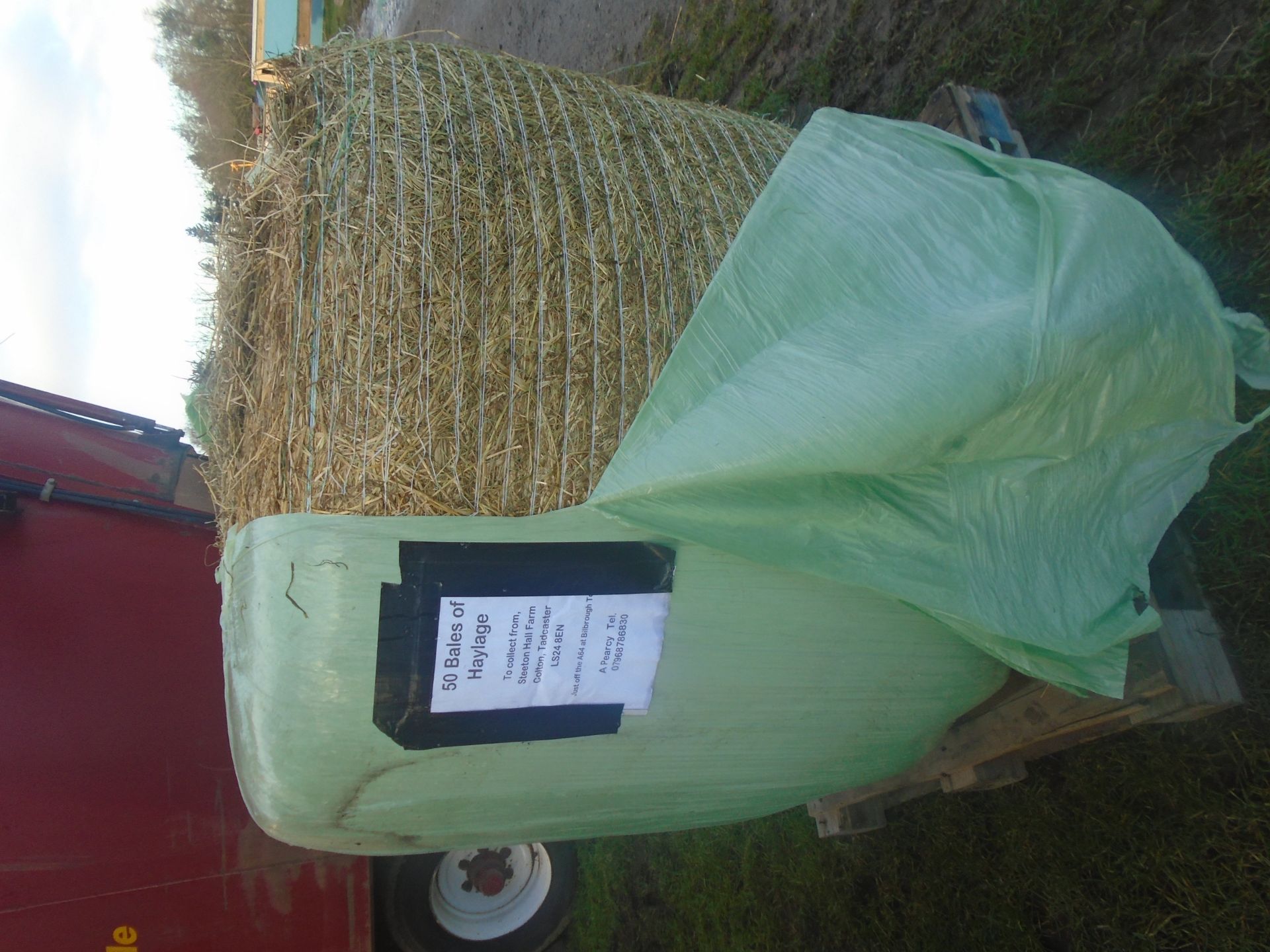 50 bales of haylage/silage