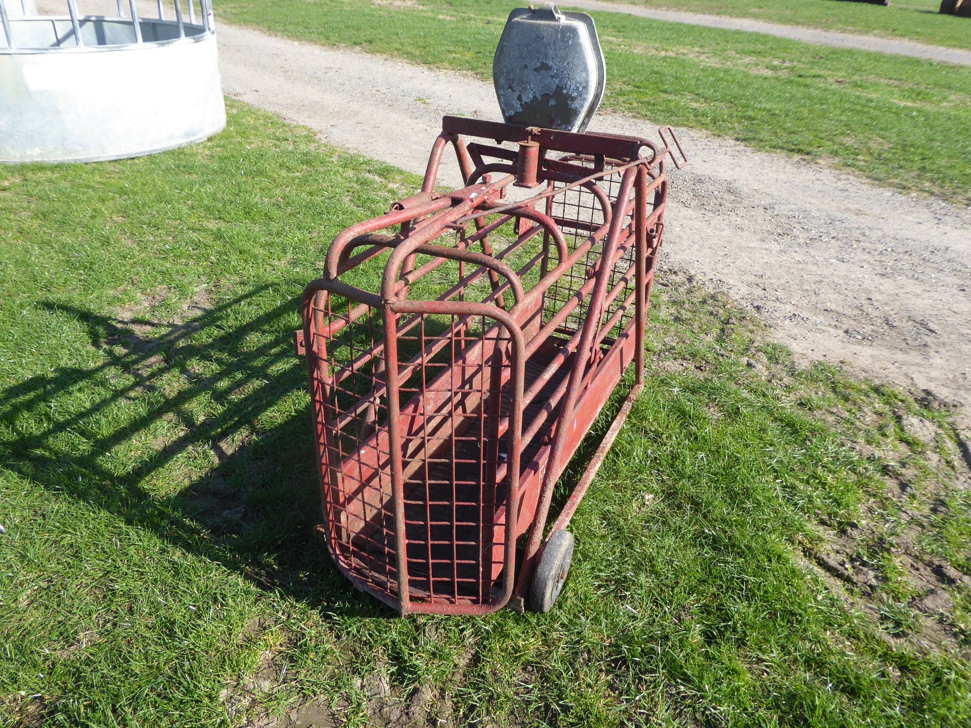 GHL sheep weigh crate - Image 2 of 2