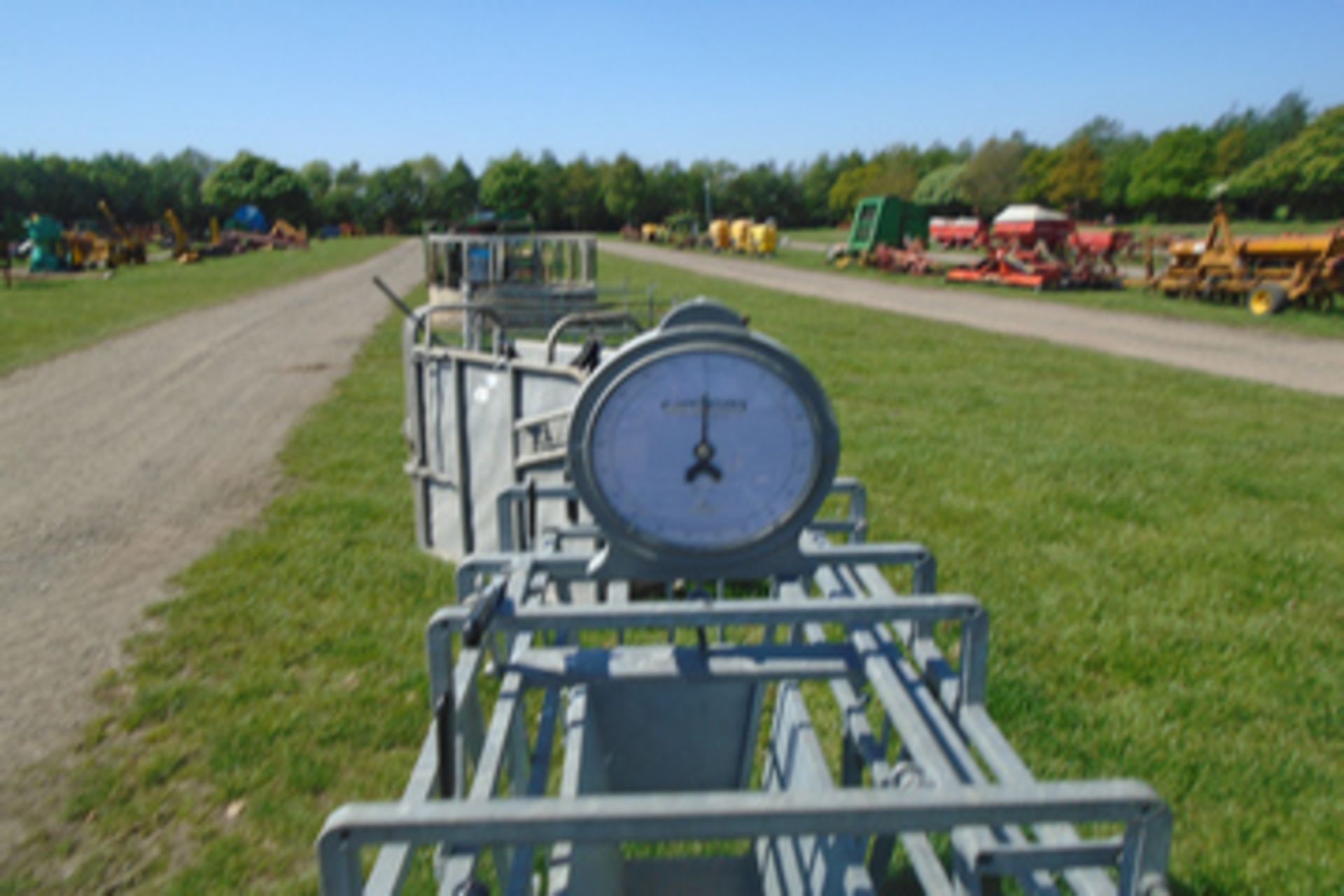 Bateman sheep weigh crate, excellent order - Image 2 of 3