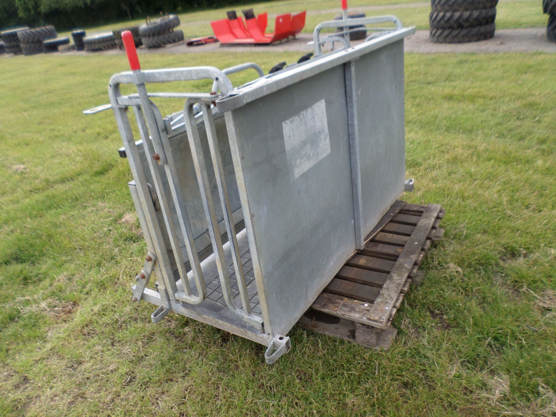 Ironworks sheep turnover crate NO VAT - Image 2 of 3