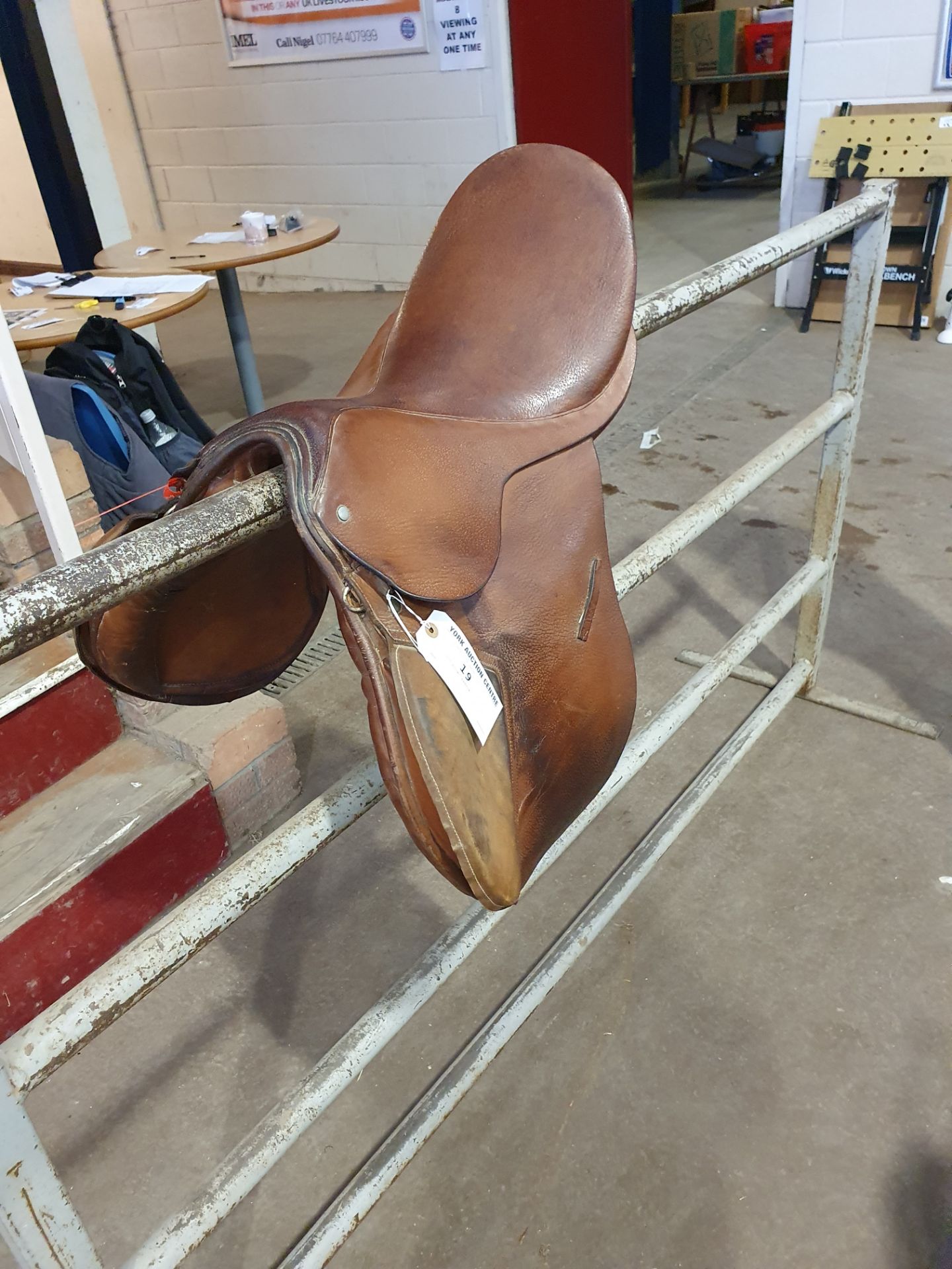 17" brown saddle