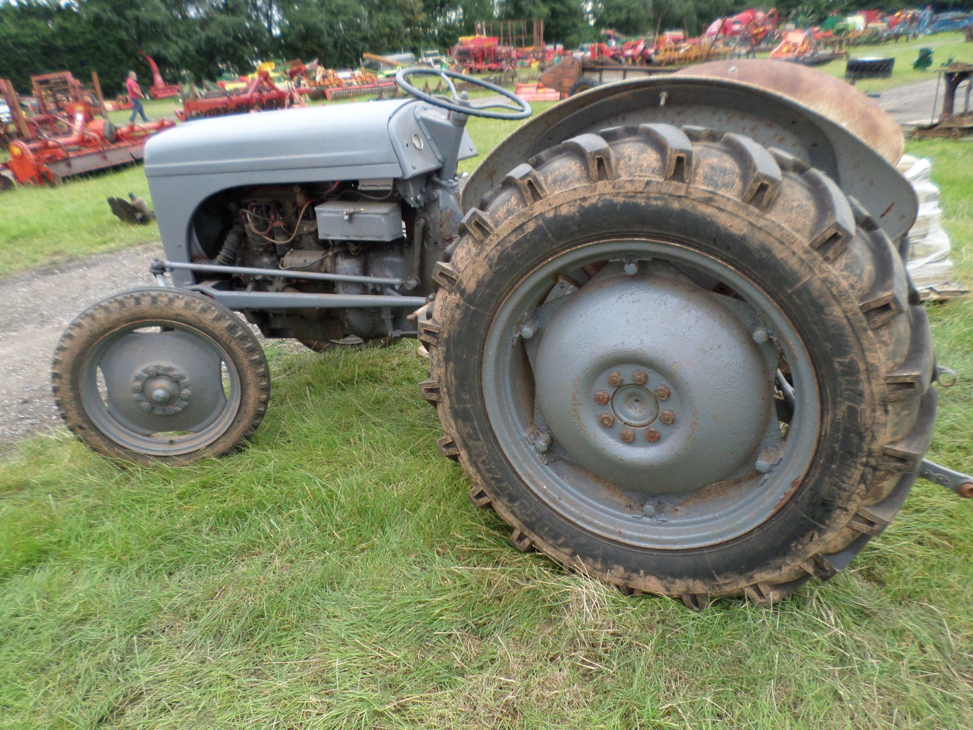 Massey Ferguson 1951 petrol tractor, barn find - Image 4 of 4