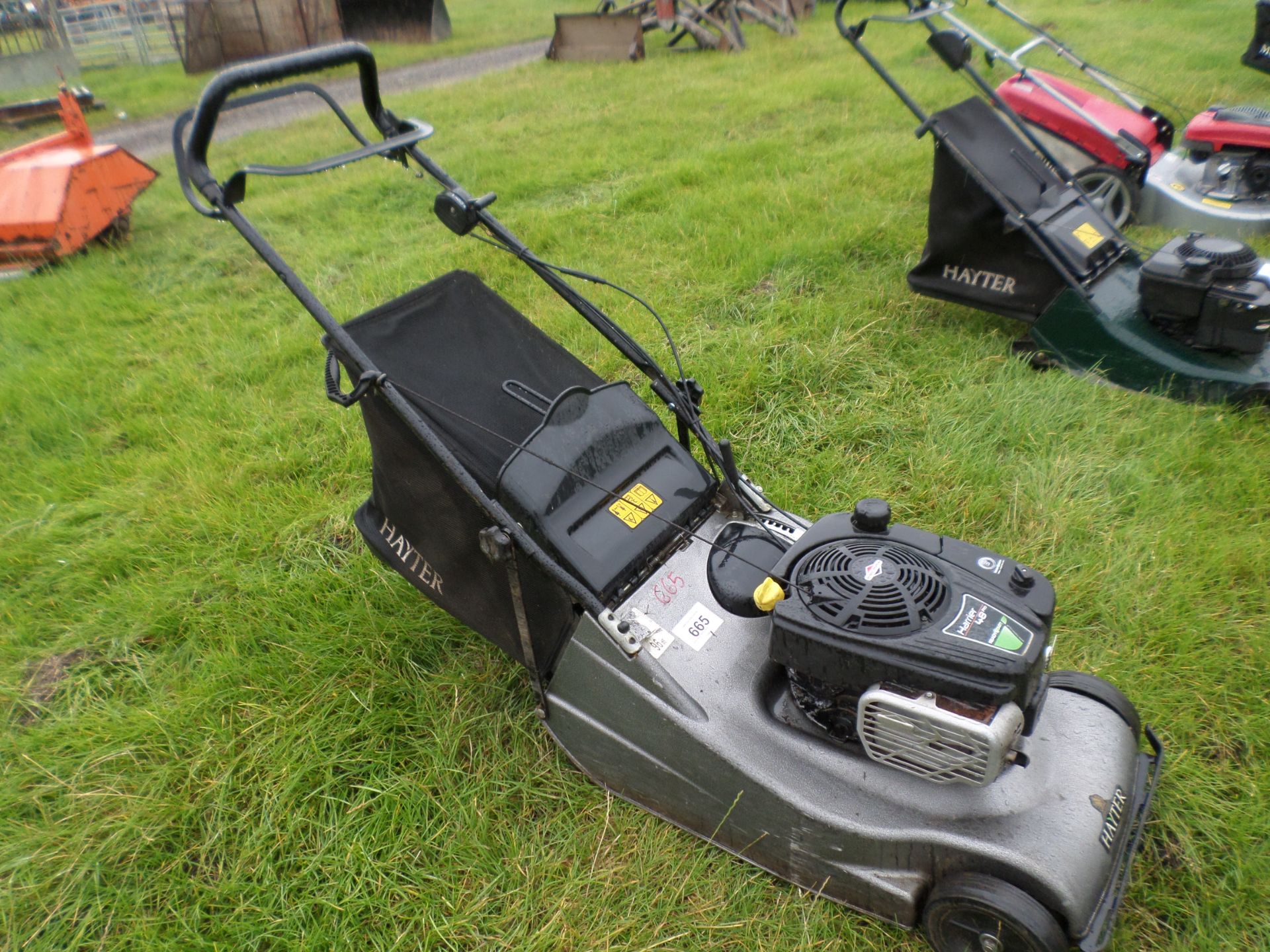 Hayter Harrier 48 Pro mower