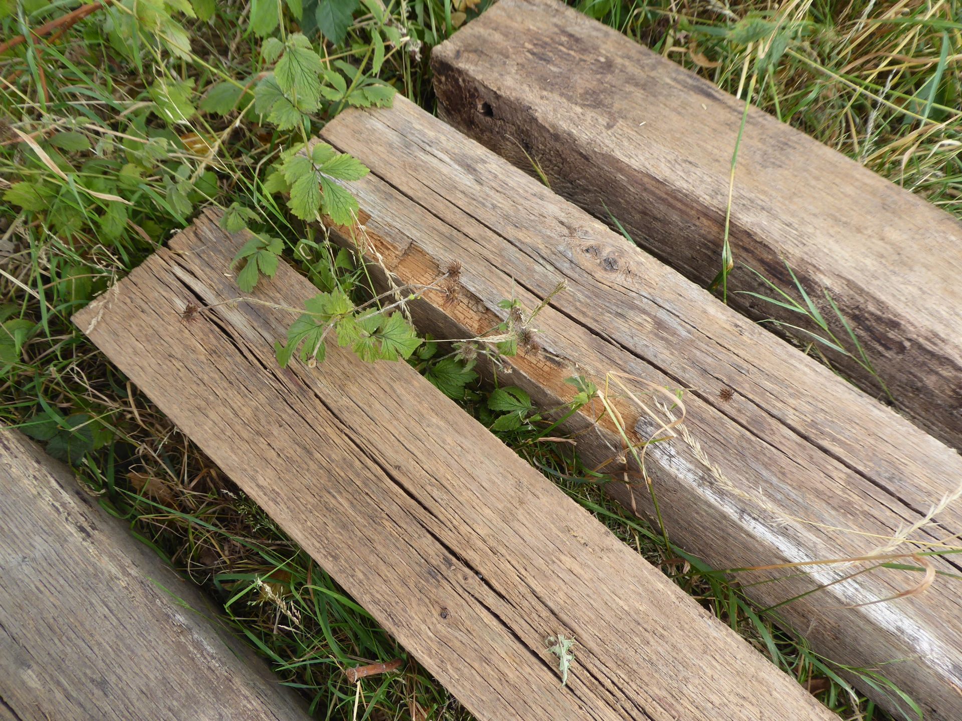 4 x oak beams 6x6, approx 2.7m long NO VAT - Image 3 of 3