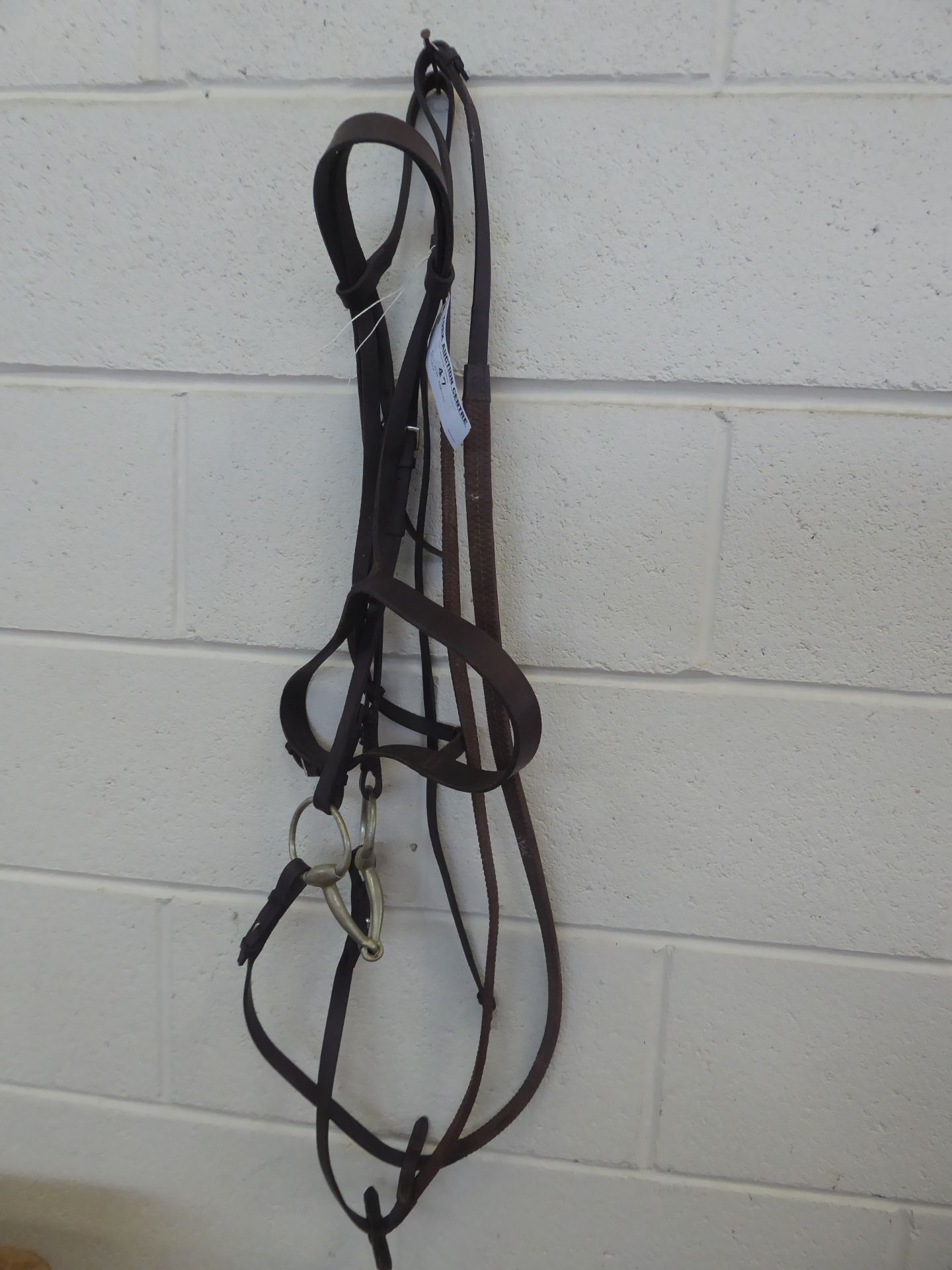 Full size English bridle