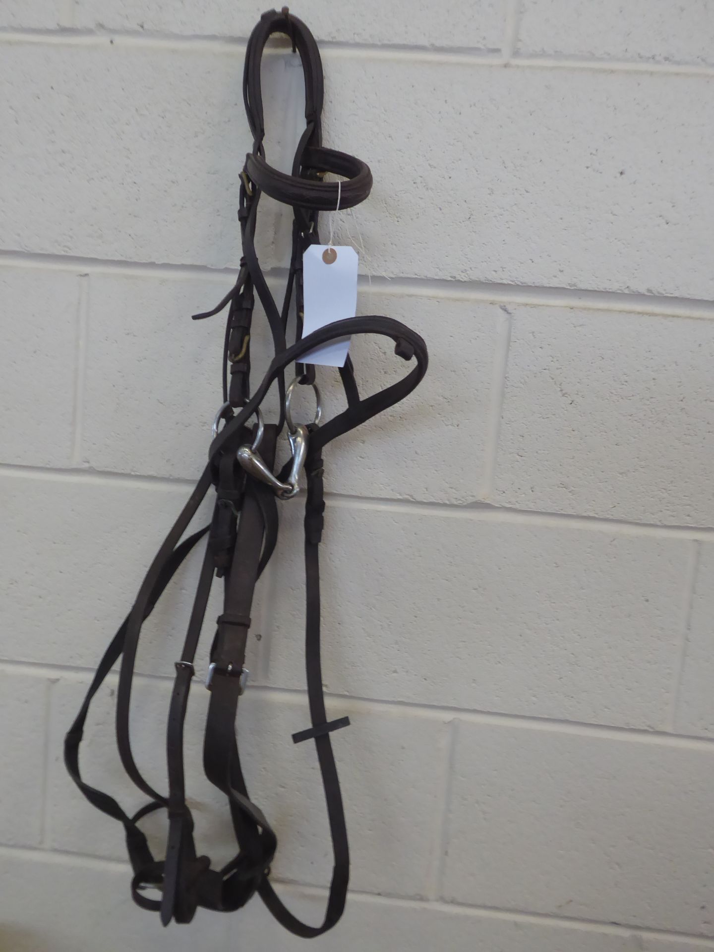 Pony comfort bridle and running martingale