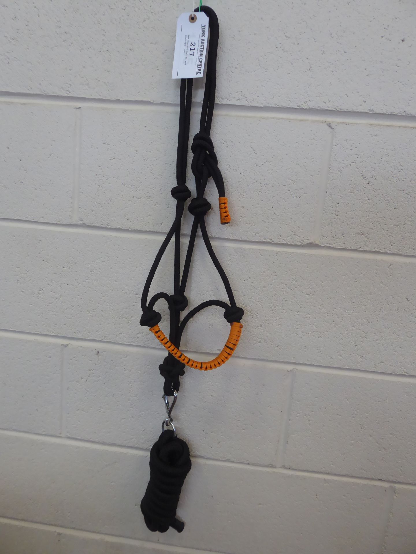 New control halter and leadrope, cob