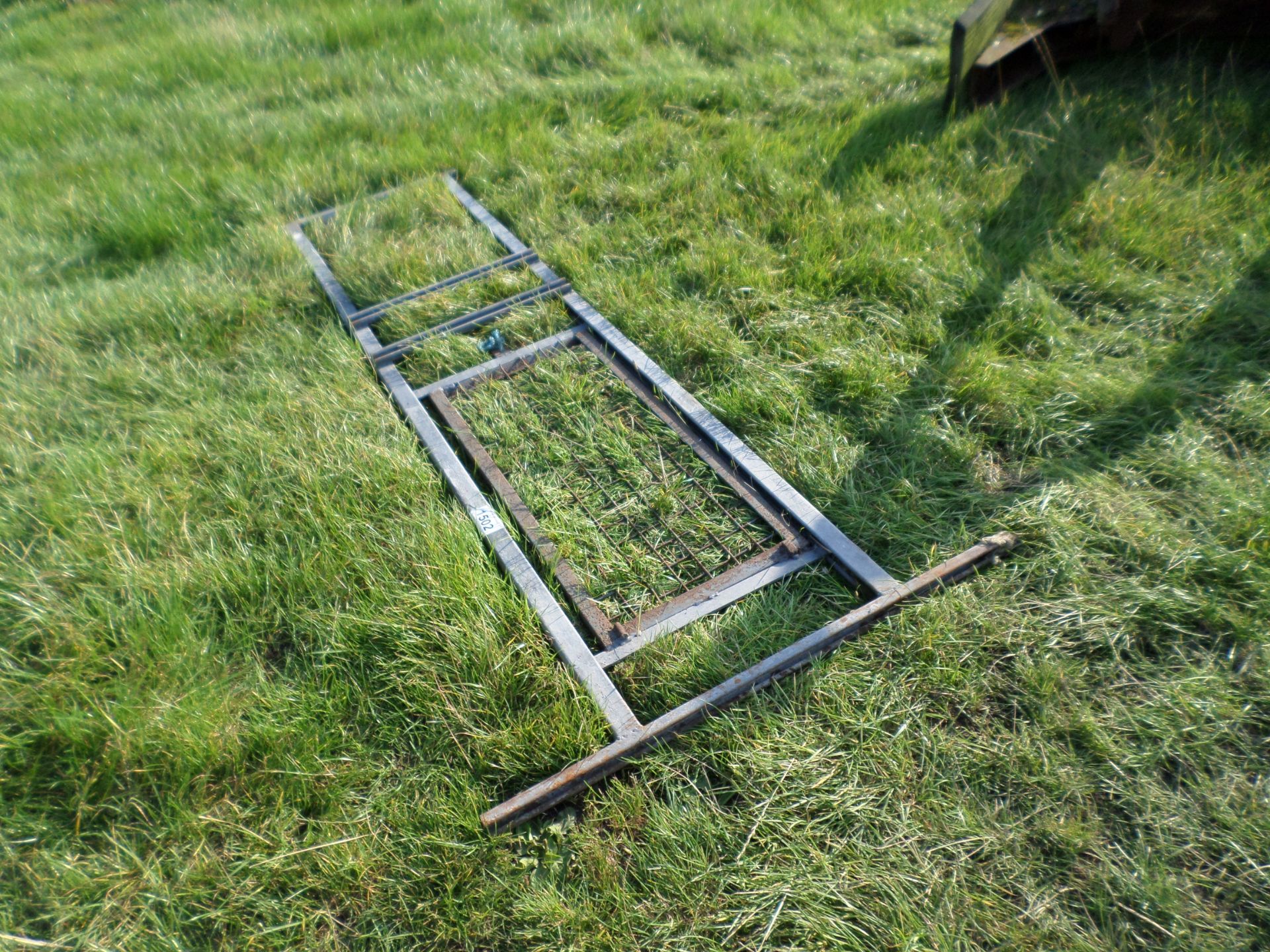 Sheep handling guillotine gate