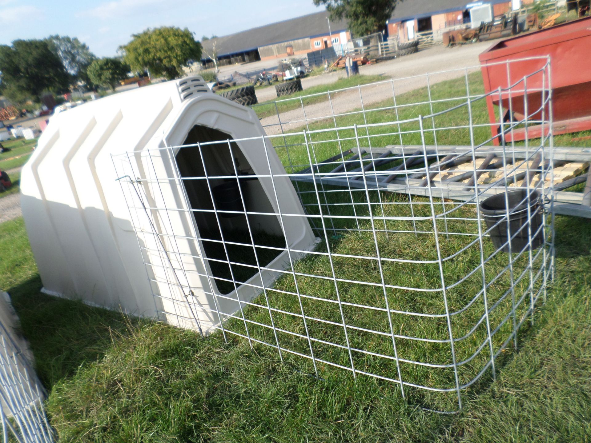 Calf Tel Delux hutch and steel mesh run, NO VAT