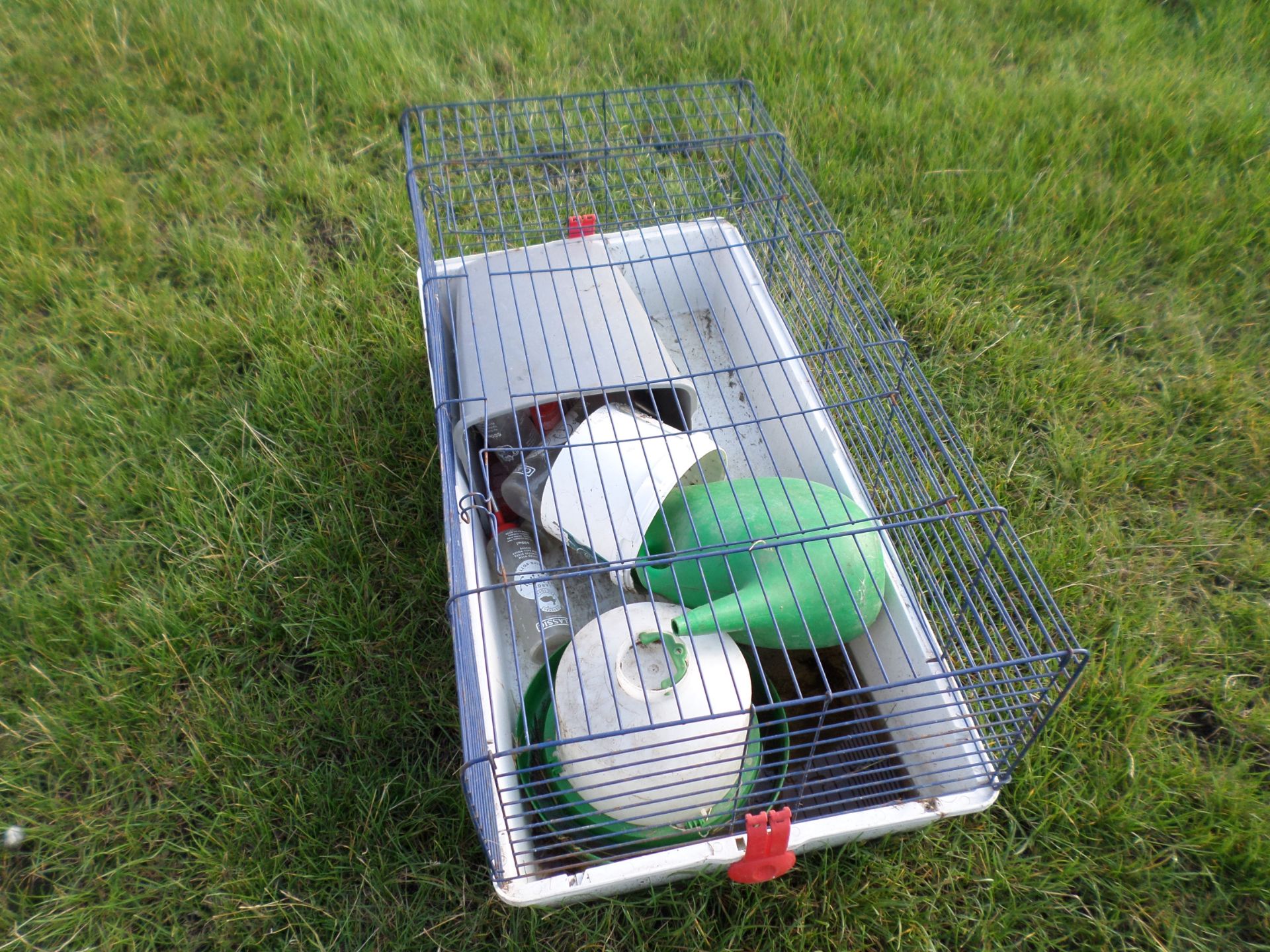 Chicken brooder with drinkers