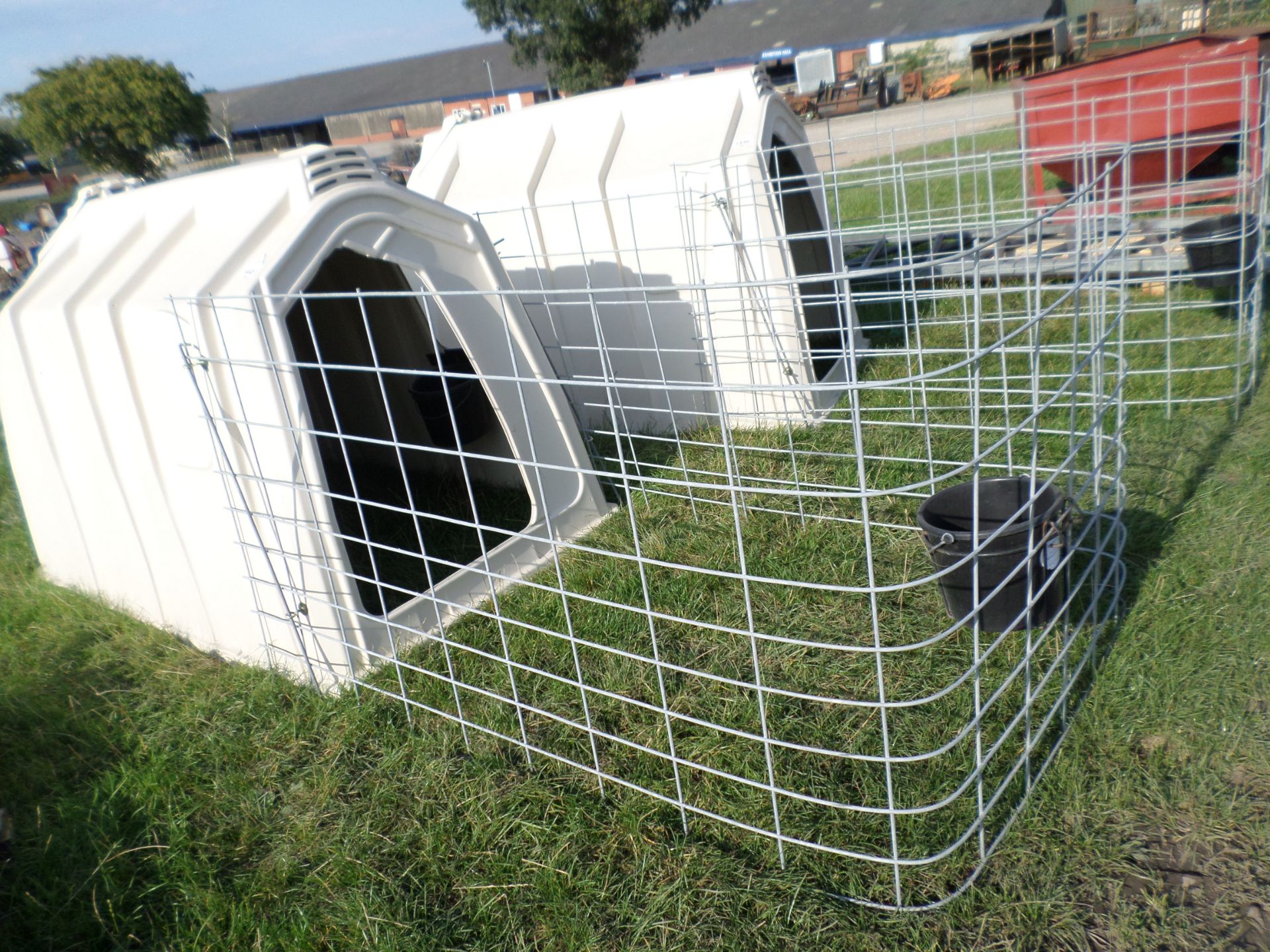 Calf Tel Delux hutch and steel mesh run, NO VAT