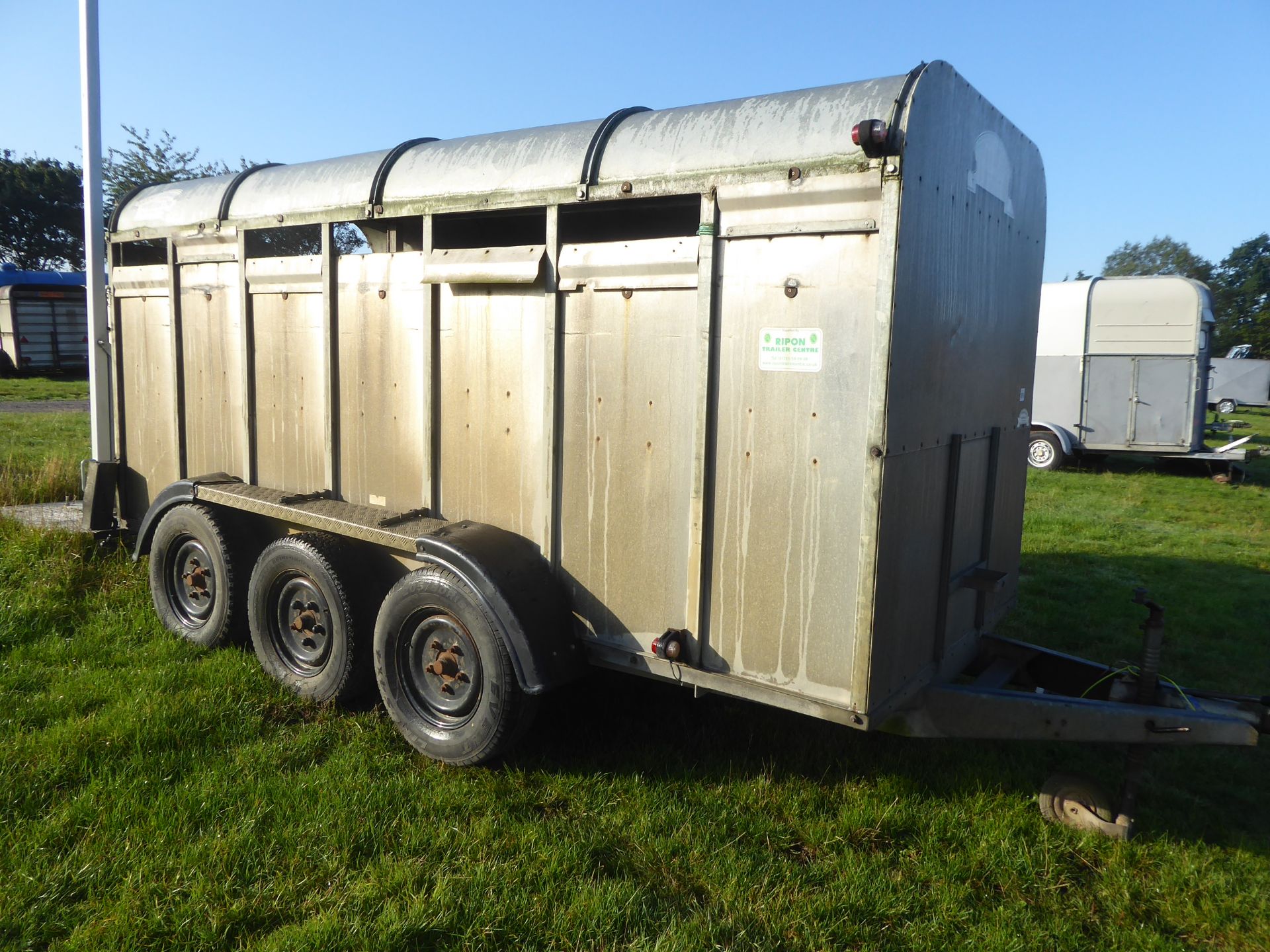Graham Edwards livestock trailer 6'x14f, triaxle, centre partition