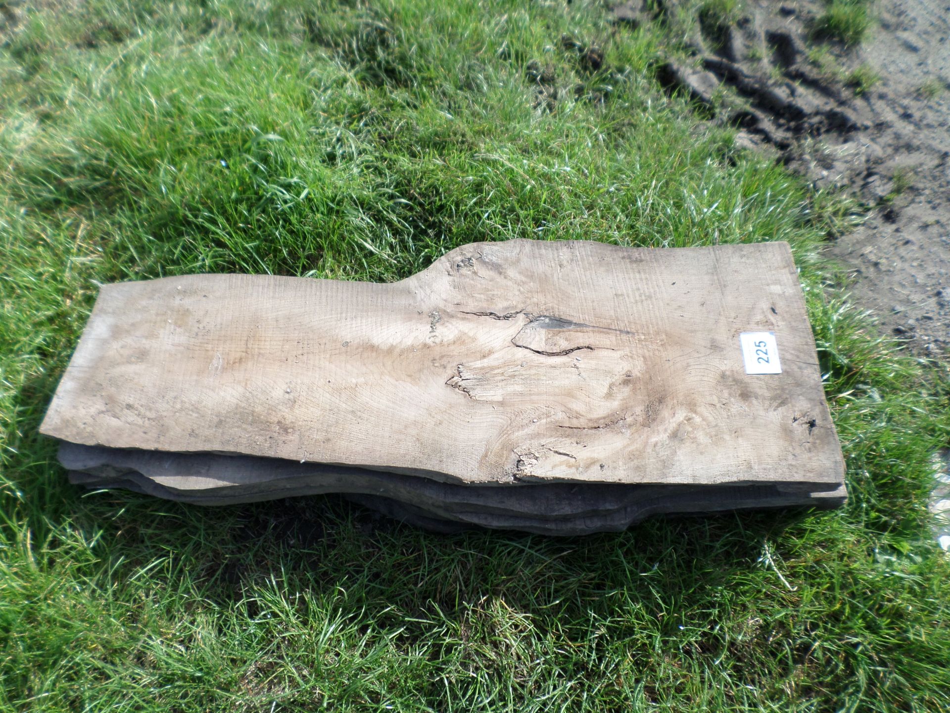 6 x air dried elm hardwood boards NO VAT