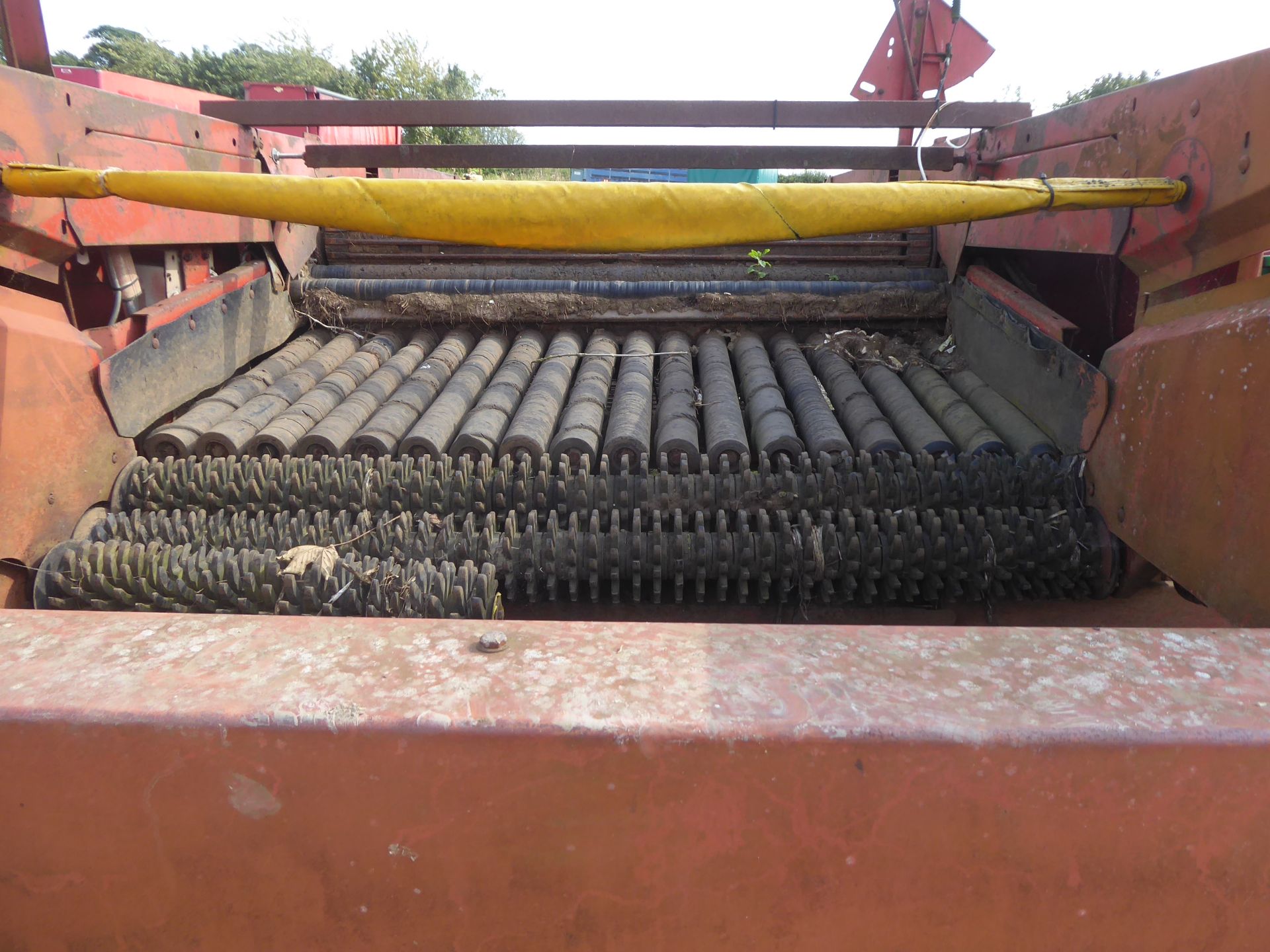 Grimme Variant potato windrower - Image 3 of 5