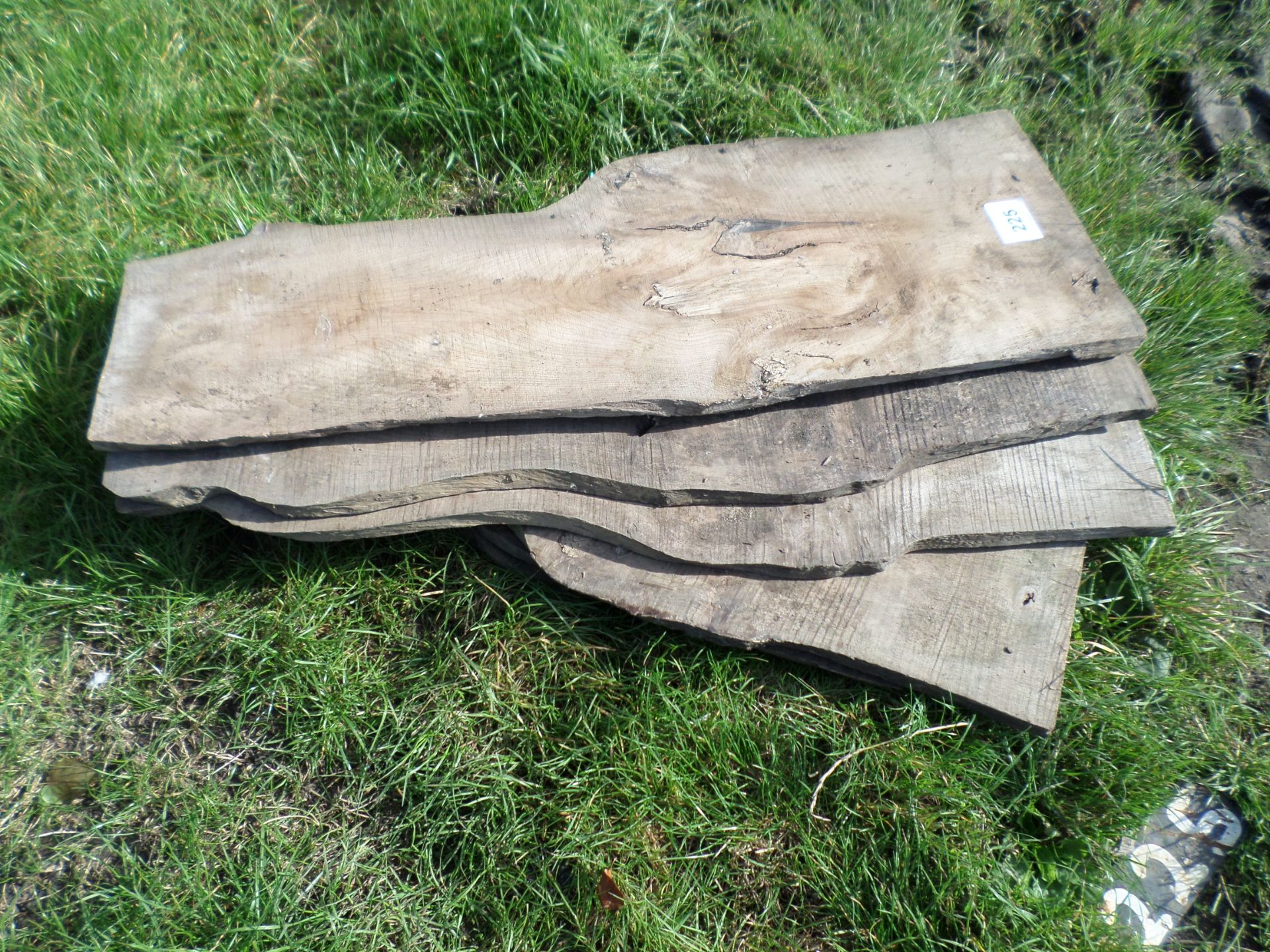 6 x air dried elm hardwood boards NO VAT - Image 2 of 3