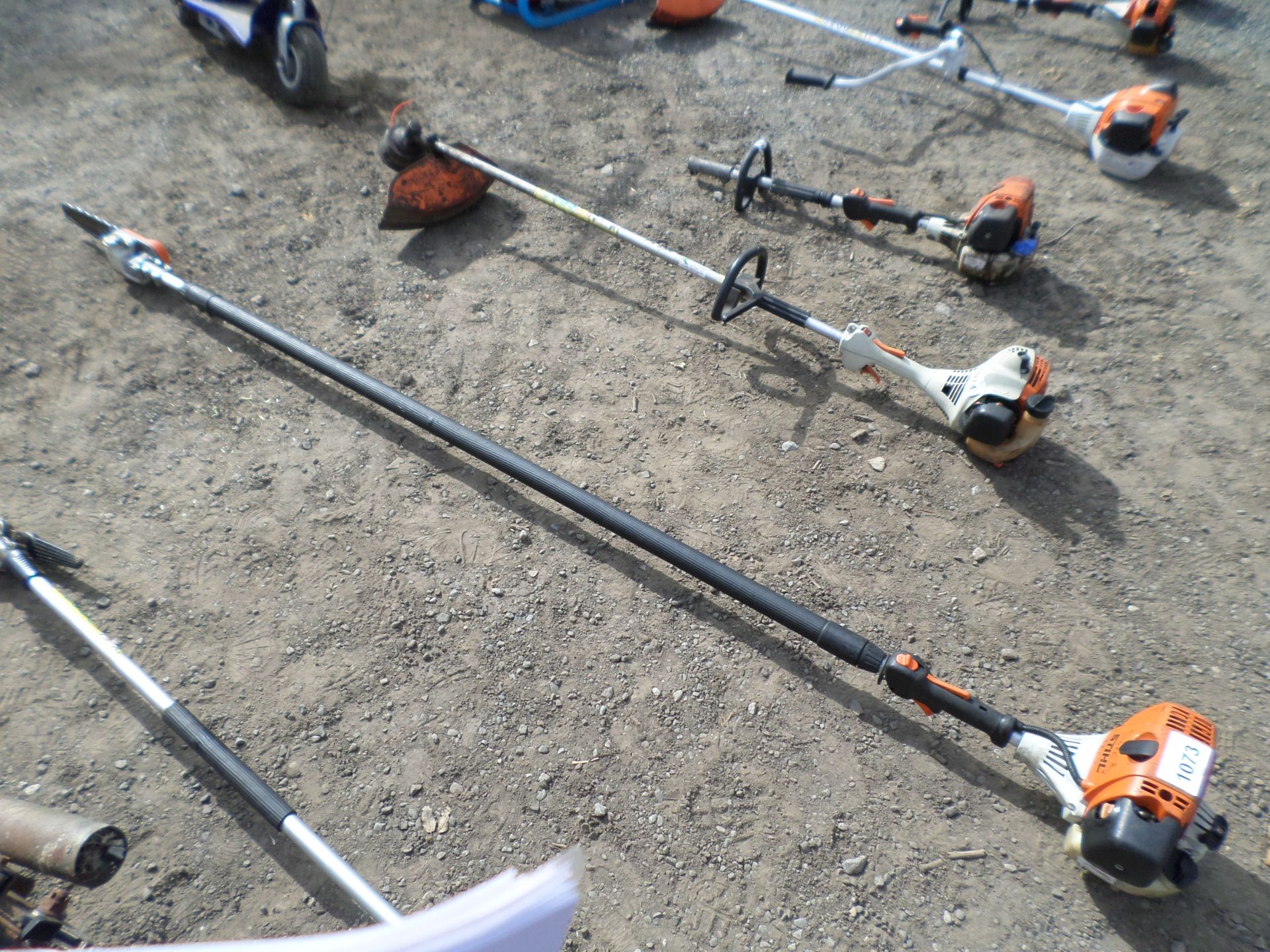 Stihl H131 telescopic long reach pole saw