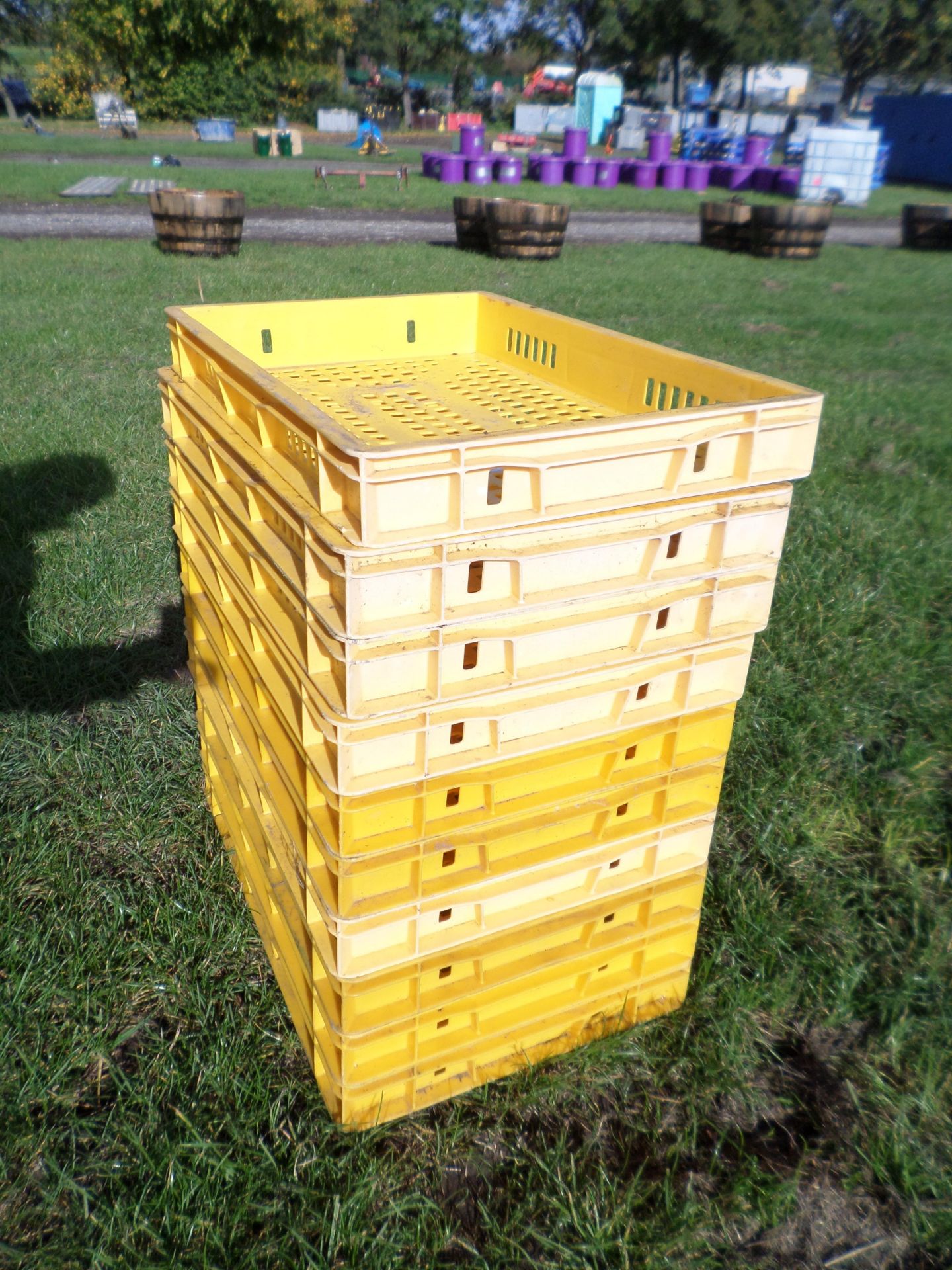 10 plastic stackable fruit/apple boxes NO VAT