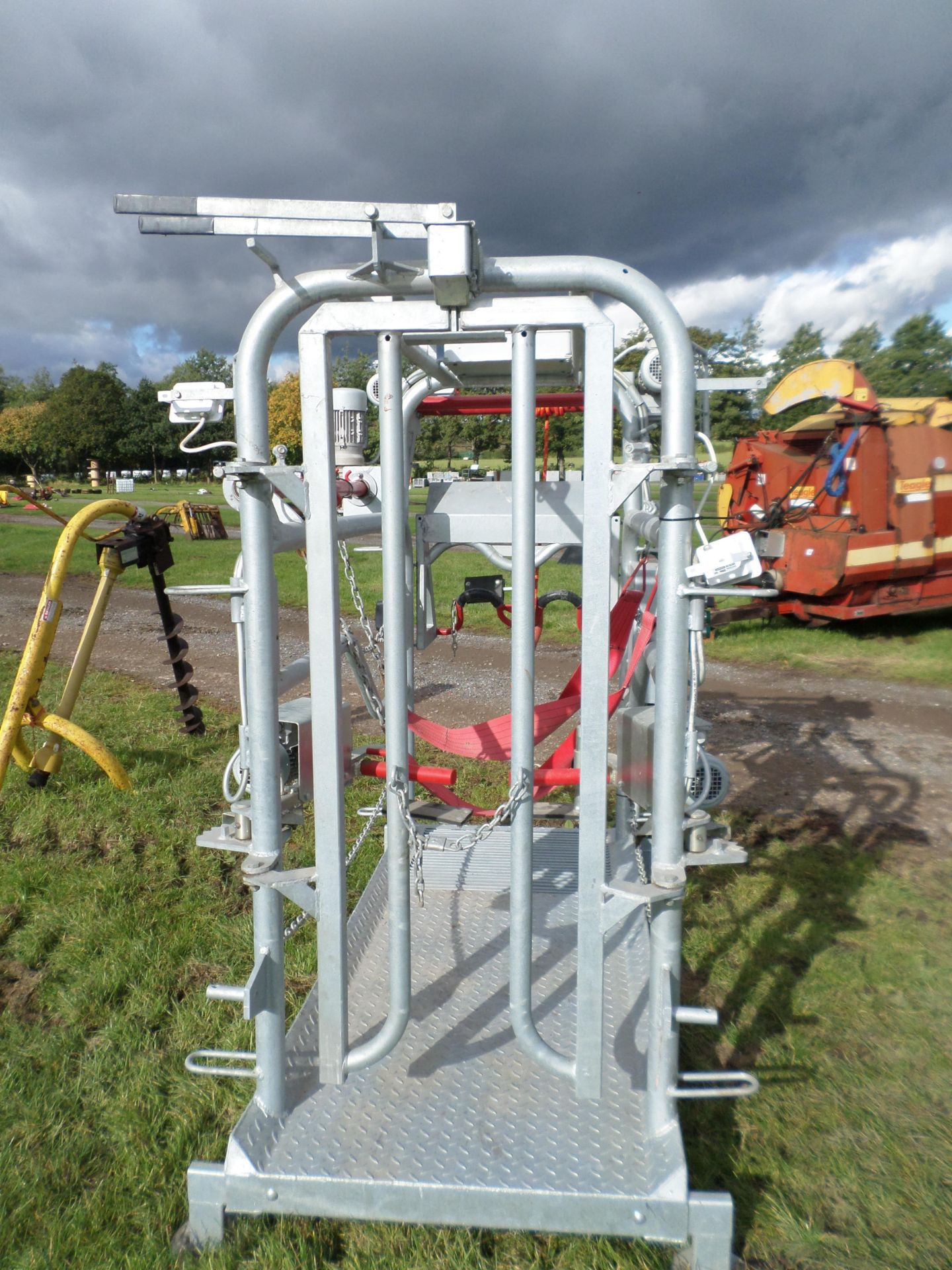 Galvanised cattle foot trimming crush, 2017, hydraulic dual power lift, unused - Image 4 of 4