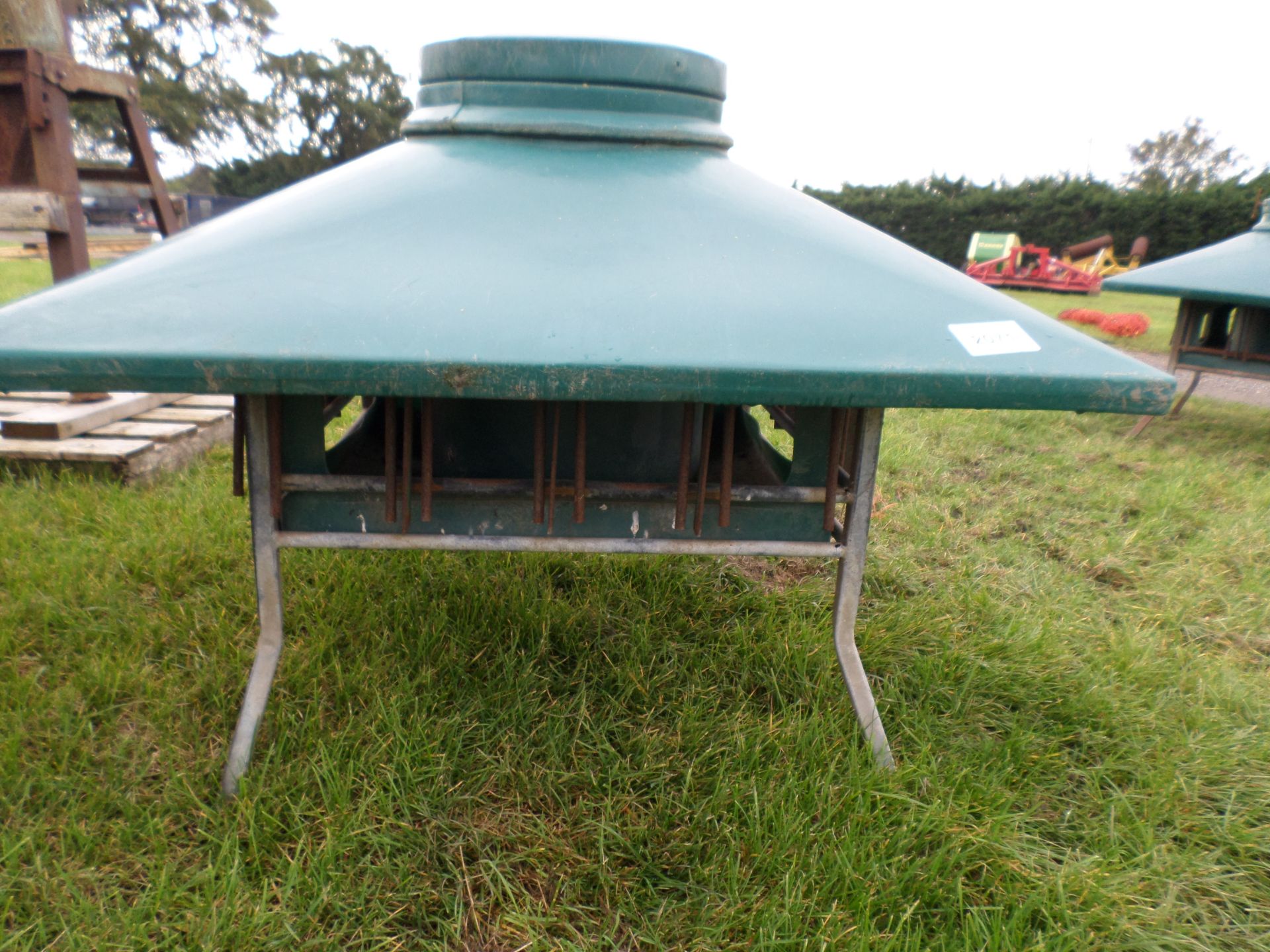 Corn Mac sheep creep feeder