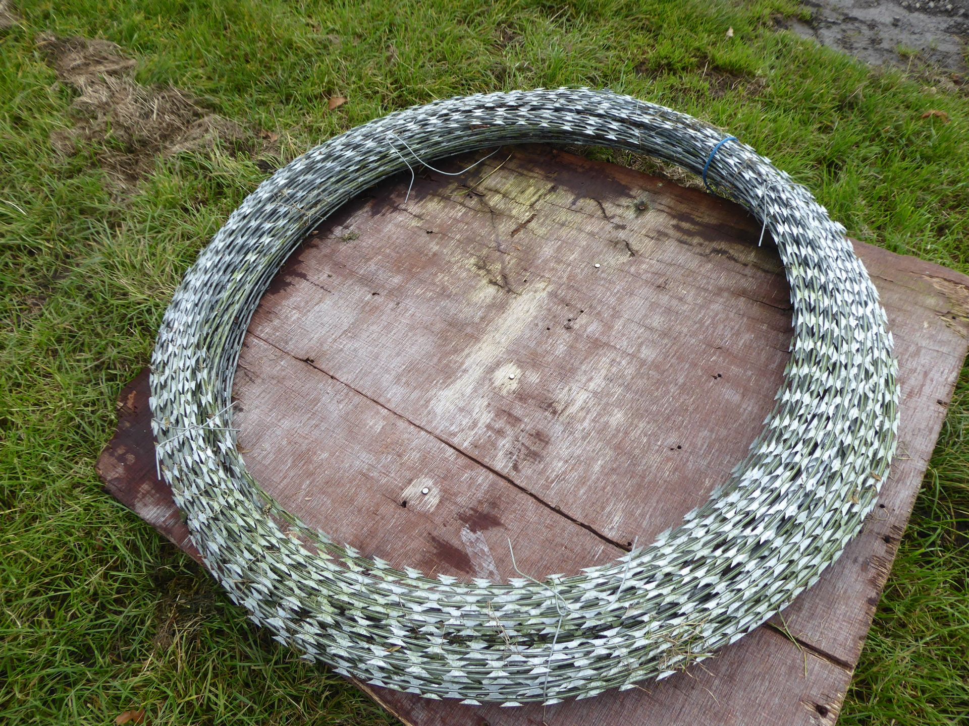 Large unused coil of razor wire NO VAT - Image 2 of 2