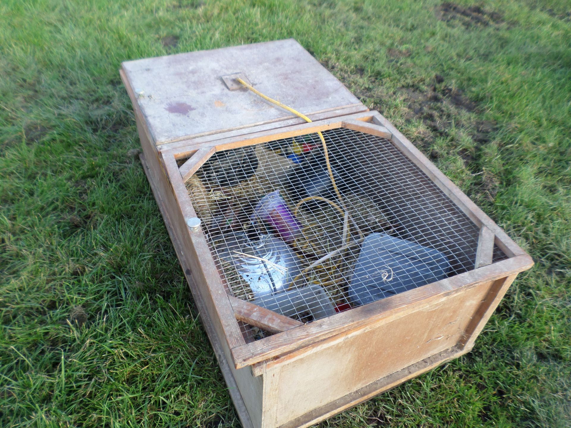 Chicken brooder