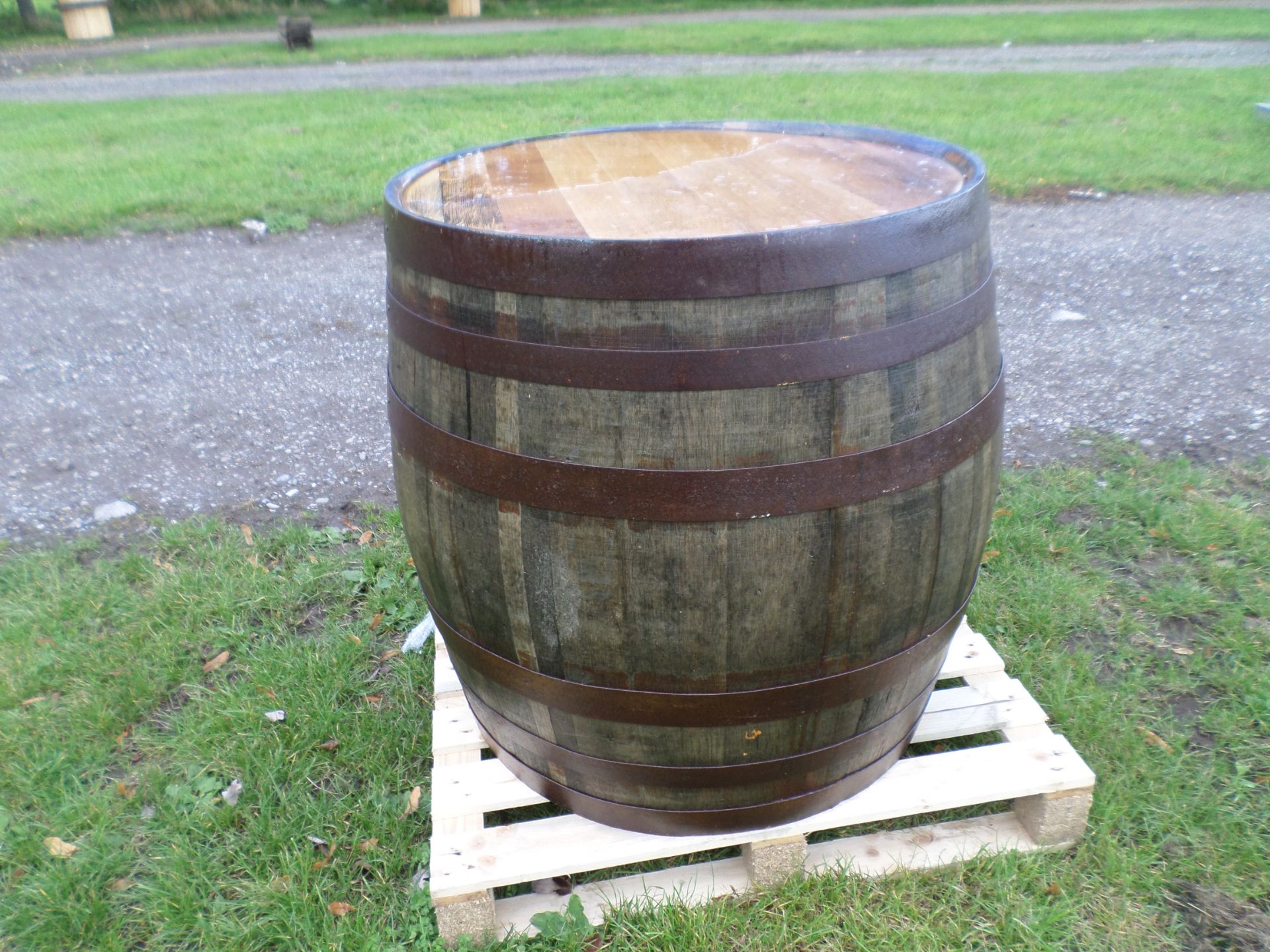 Polished tabletop oak barrel NO VAT