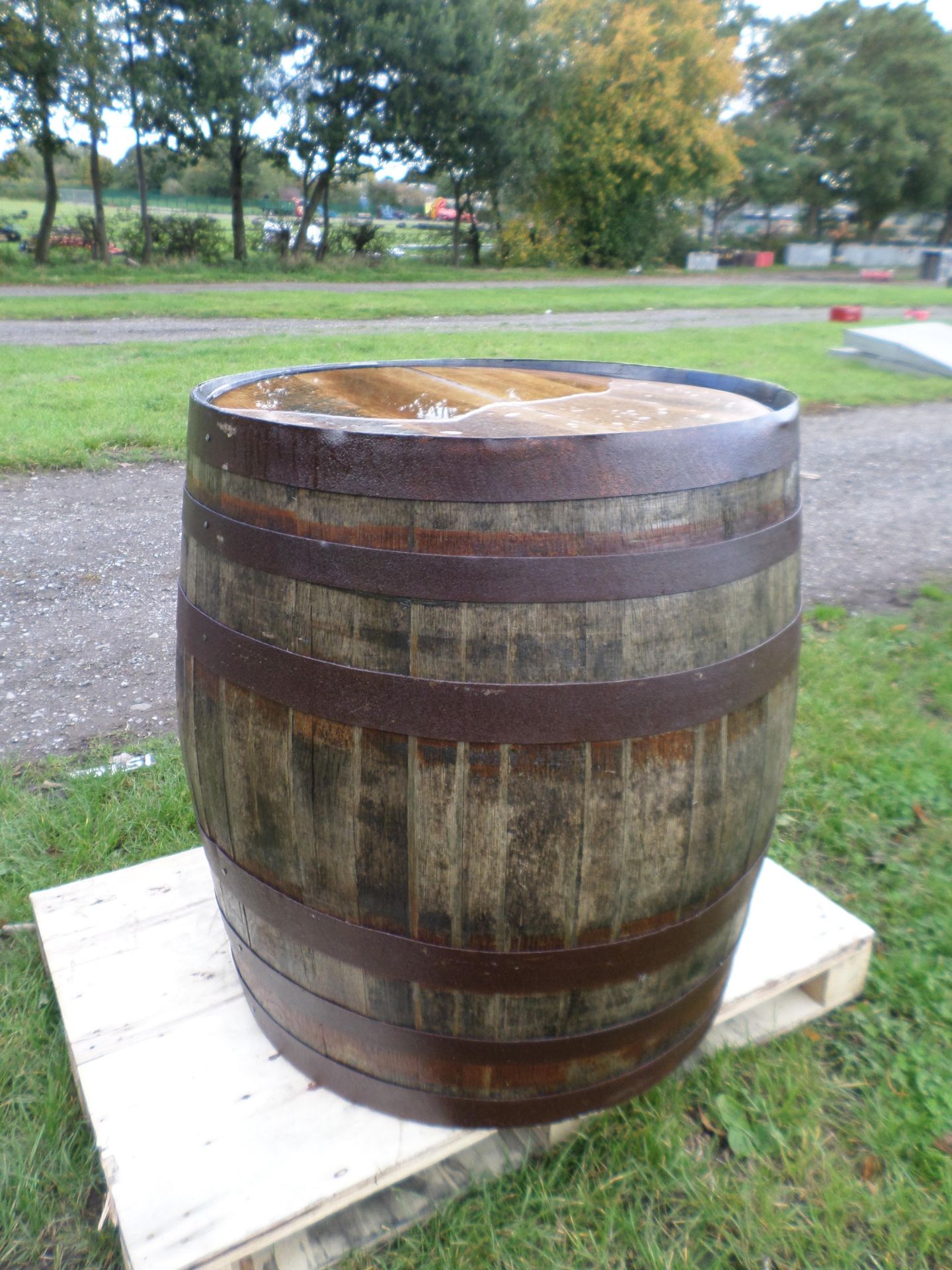 Polished tabletop oak barrel NO VAT - Image 2 of 2