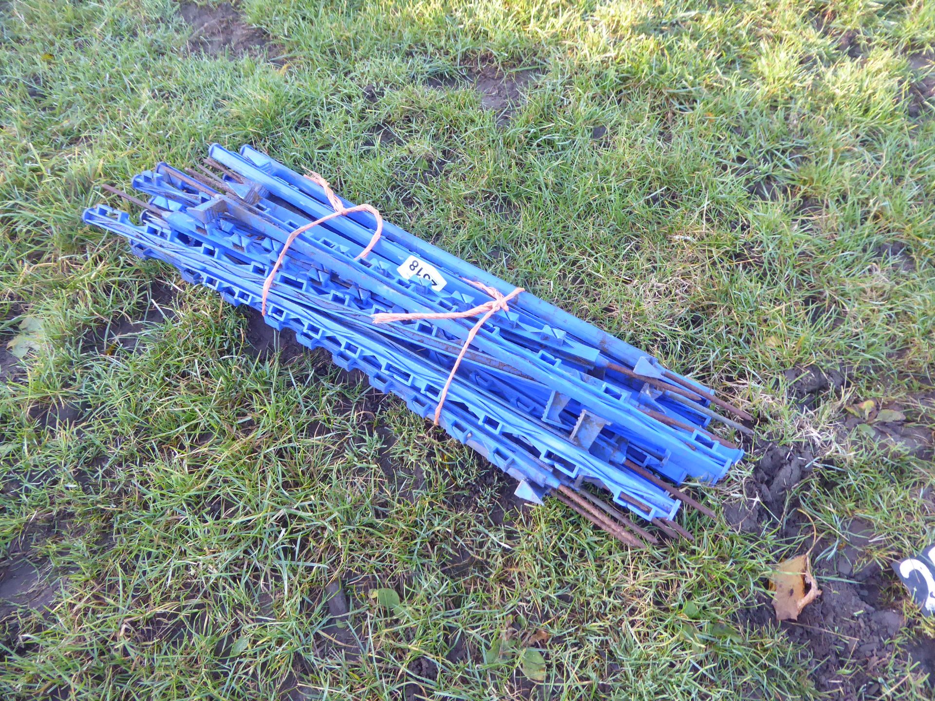 25 electric fencing stakes