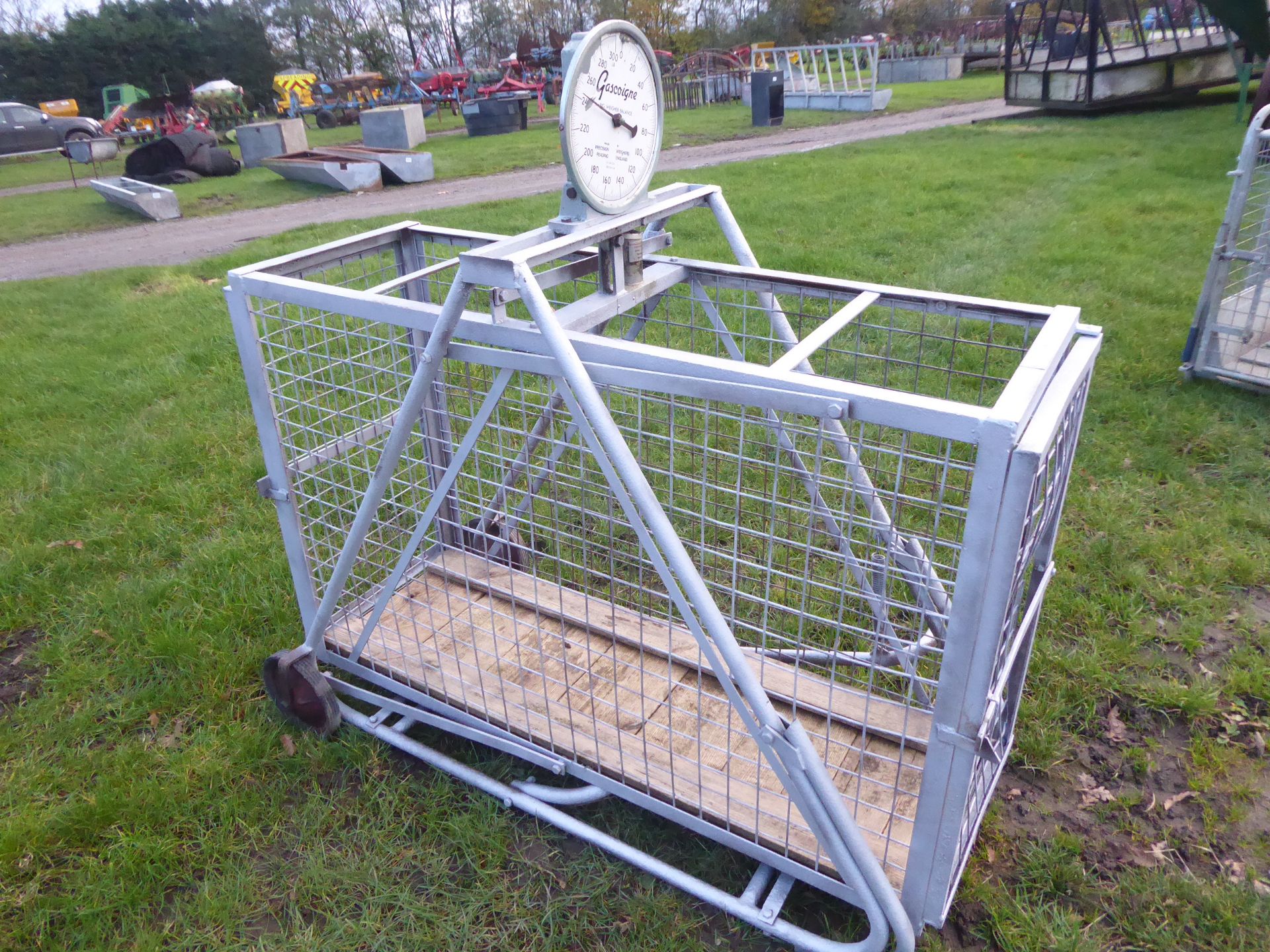 Sheep weigh crate on wheels