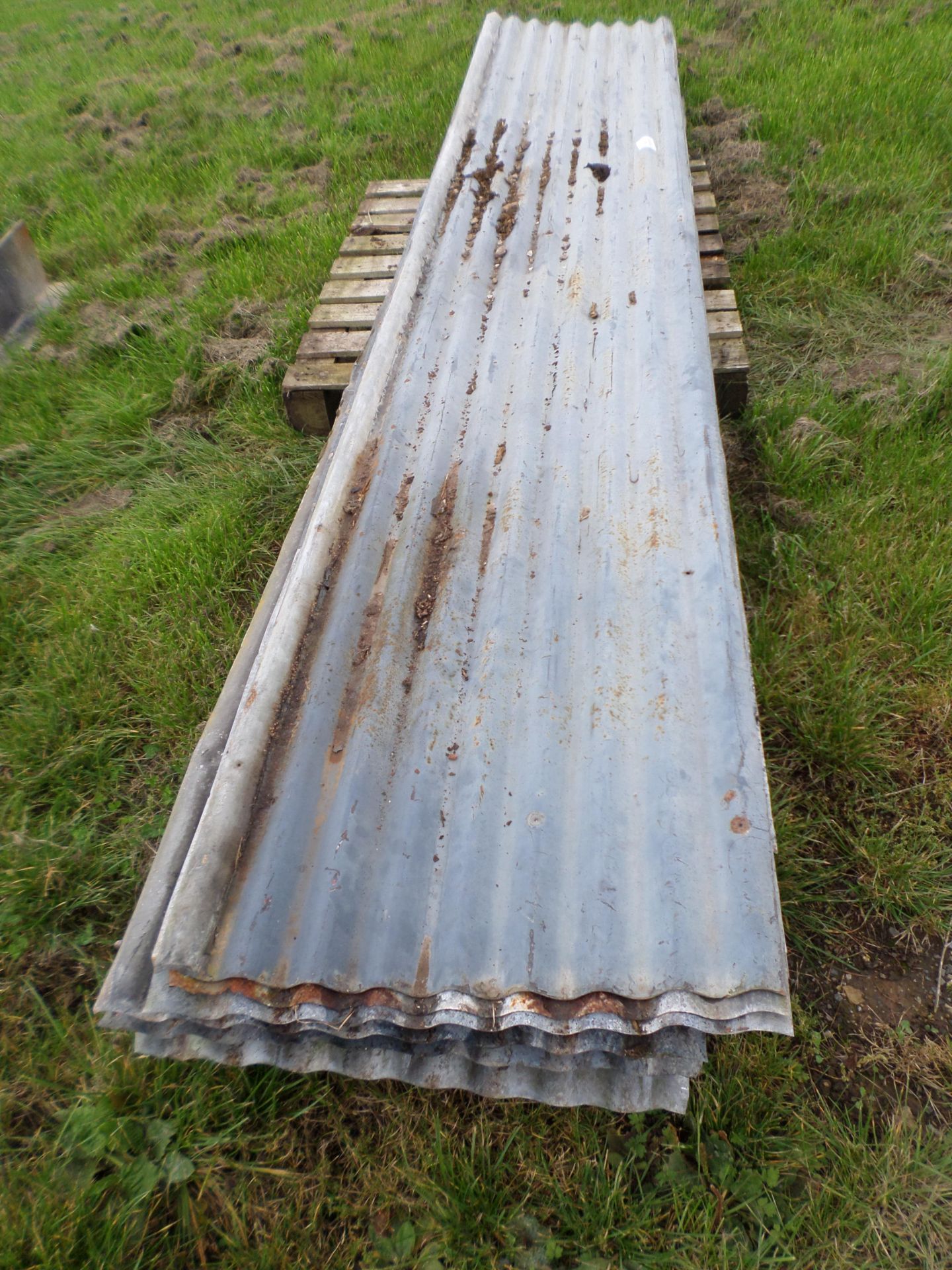 Pallet of galvanised 12ft tin sheets NO VAT - Image 2 of 4