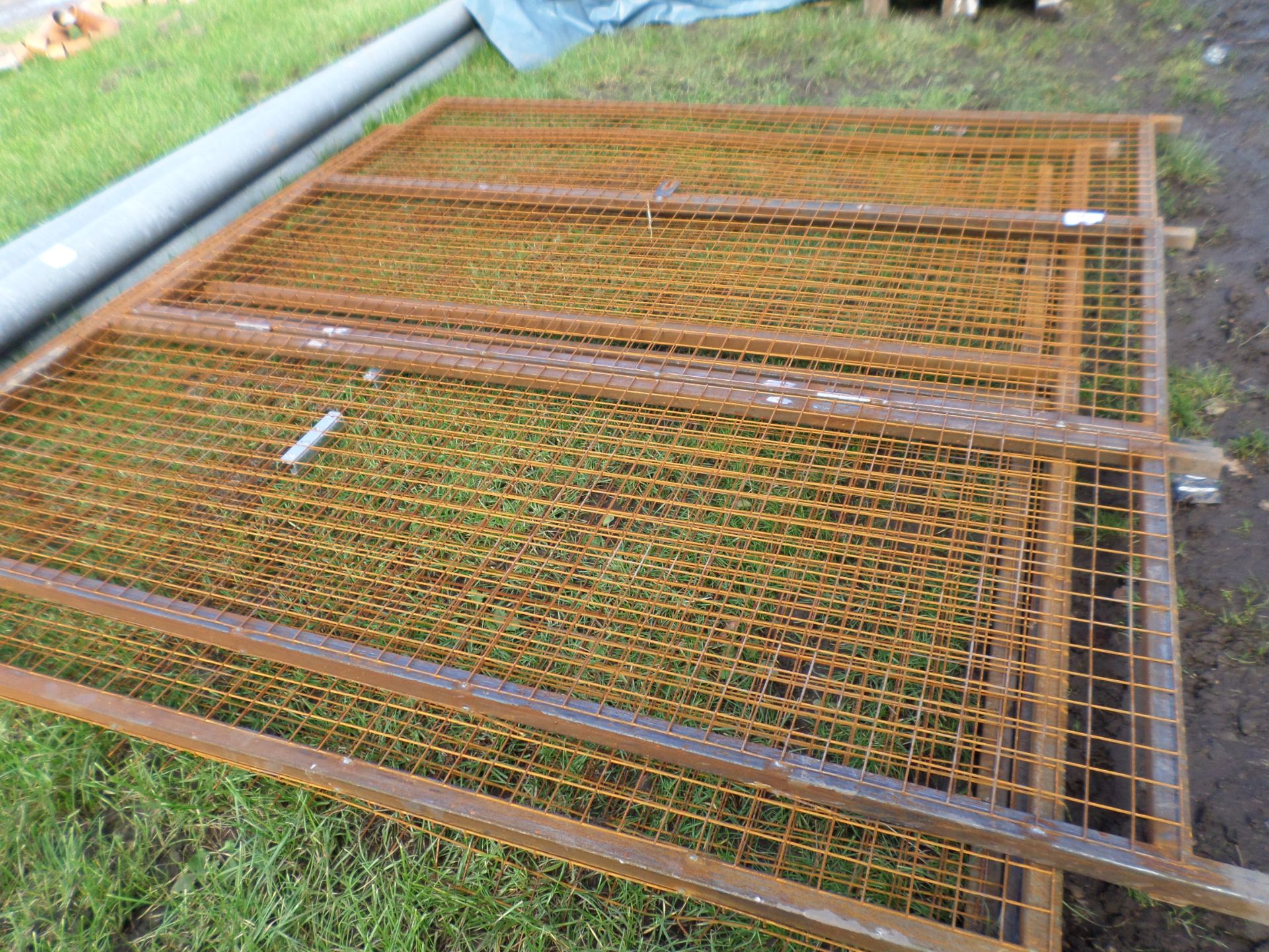 Steel mesh 3 panels NO VAT