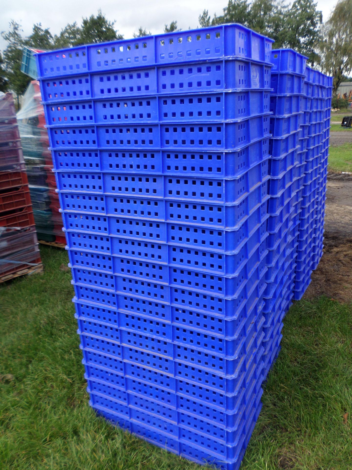 100 plastic trays 30"x18" - Image 2 of 2