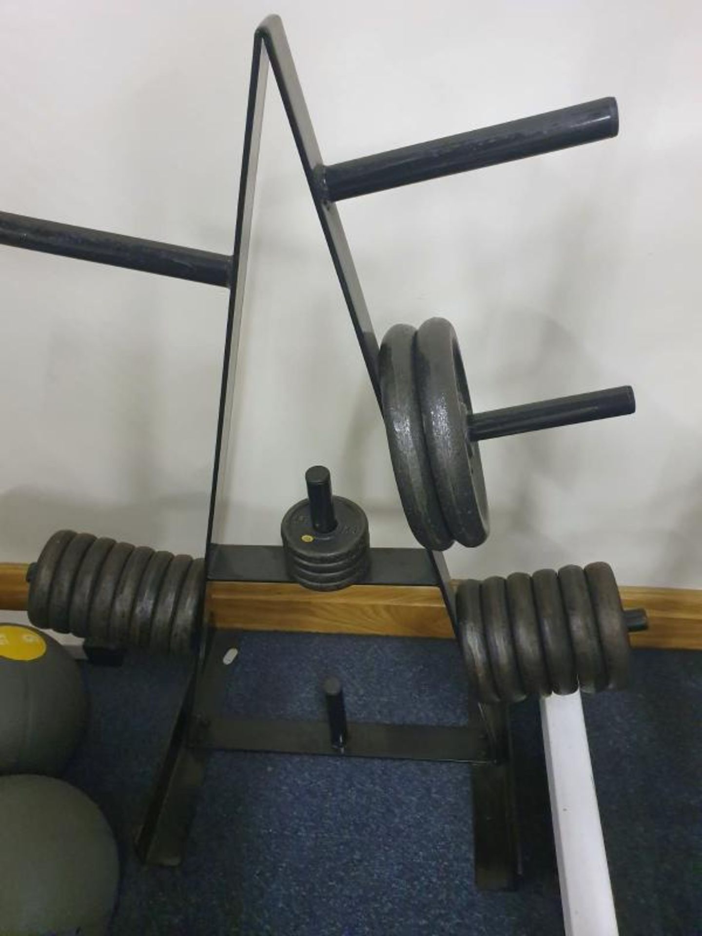 Large Collection of Various Weights Including Approx 20 x Dumbbell Weights With Stand and More - Pro - Image 5 of 13