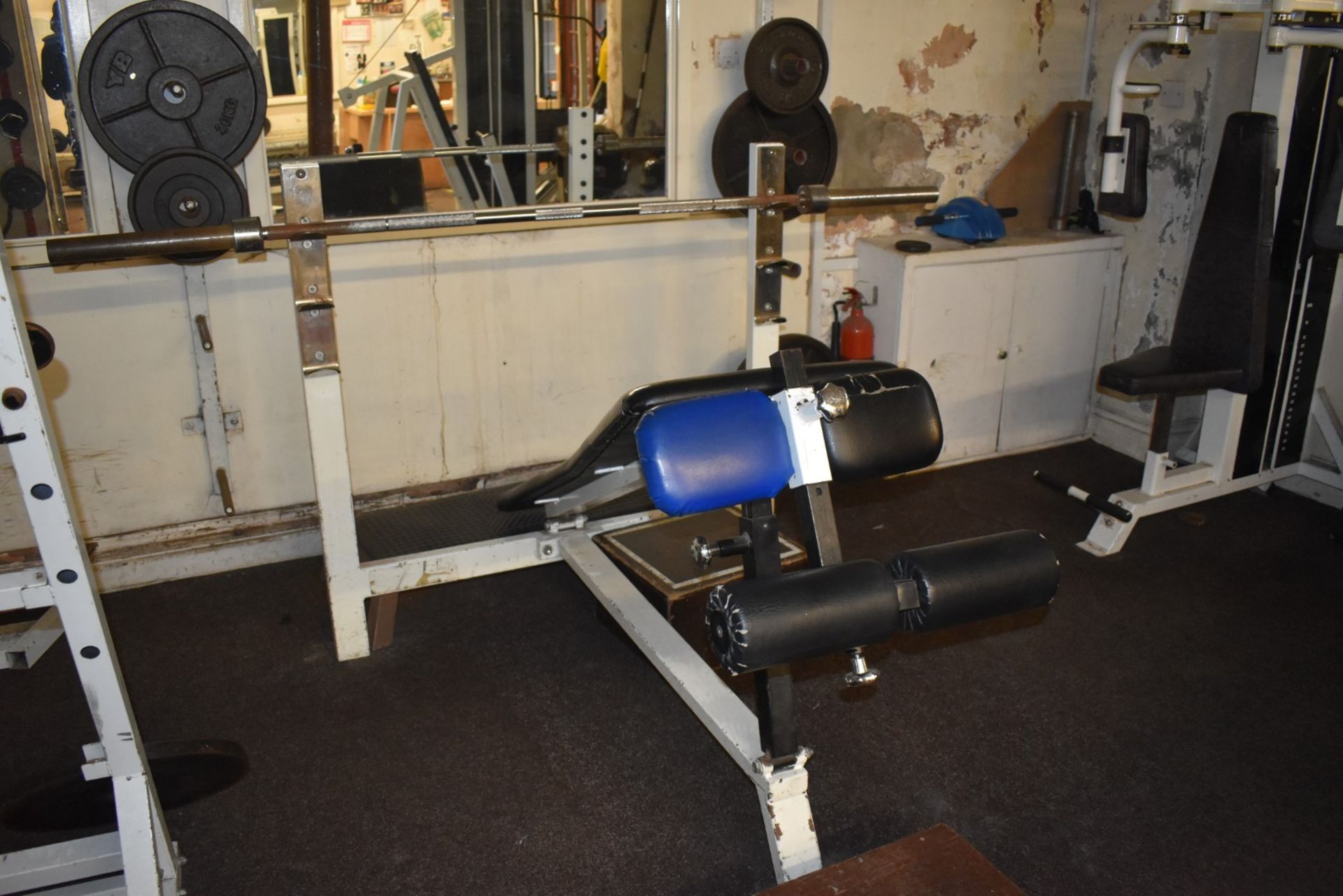 Contents of Bodybuilding and Strongman Gym - Includes Approx 30 Pieces of Gym Equipment, Floor Mats, - Image 14 of 95