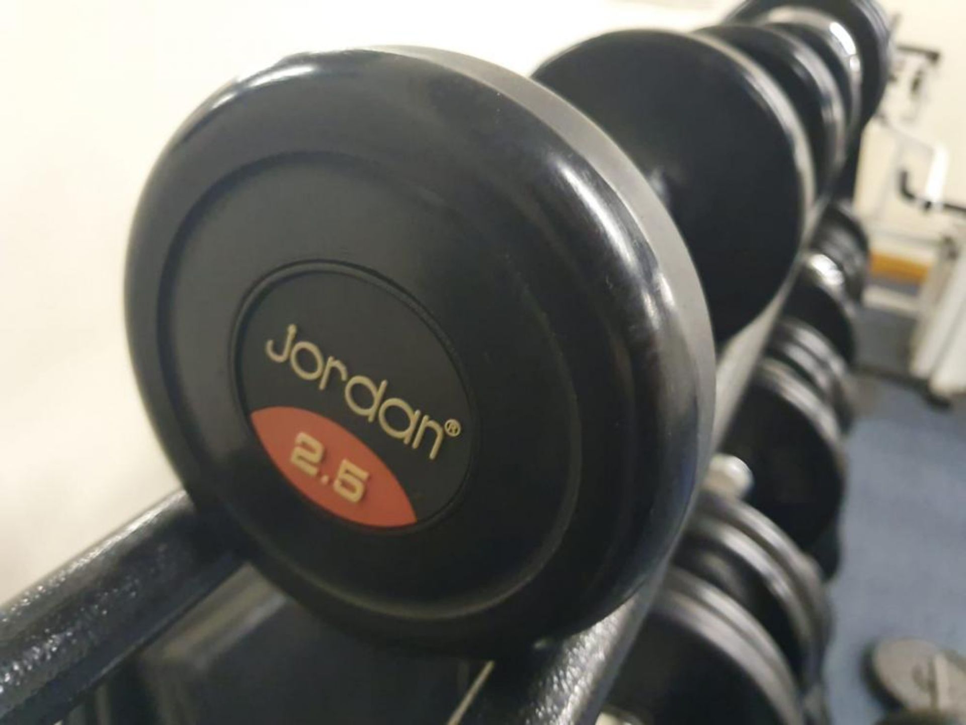 Large Collection of Various Weights Including Approx 20 x Dumbbell Weights With Stand and More - Pro - Image 9 of 13