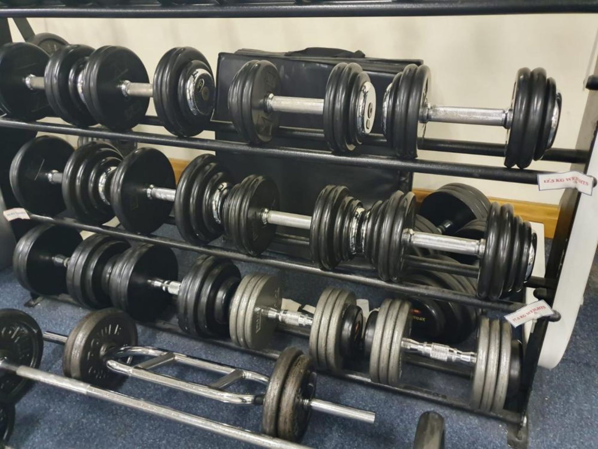 Large Collection of Various Weights Including Approx 20 x Dumbbell Weights With Stand and More - Pro - Image 4 of 13