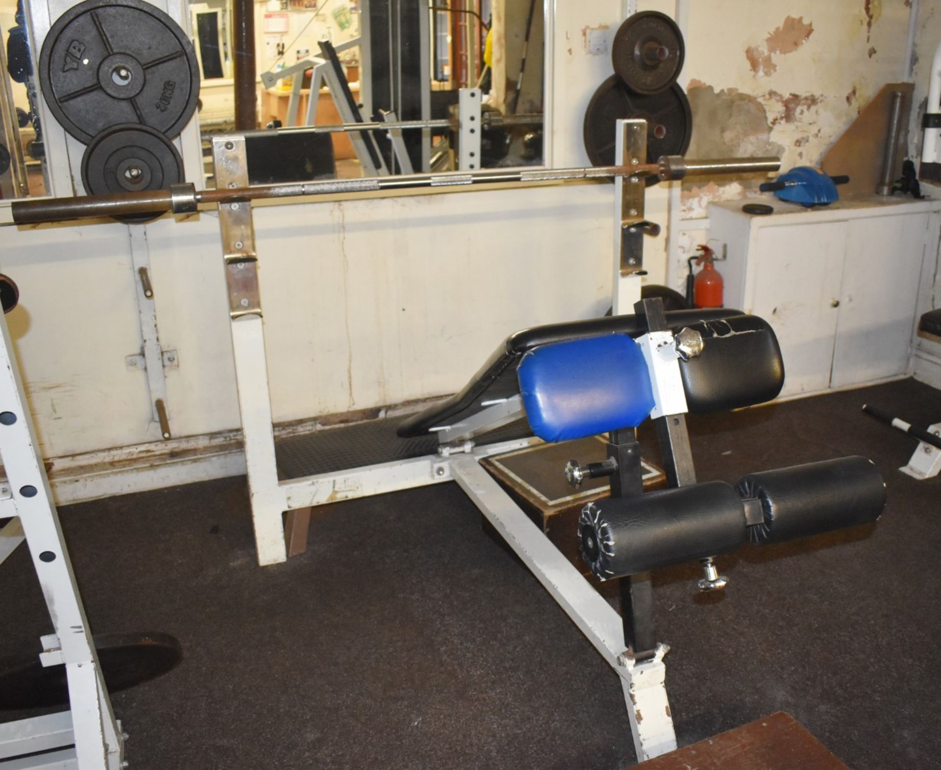 Contents of Bodybuilding and Strongman Gym - Includes Approx 30 Pieces of Gym Equipment, Floor Mats, - Image 13 of 95