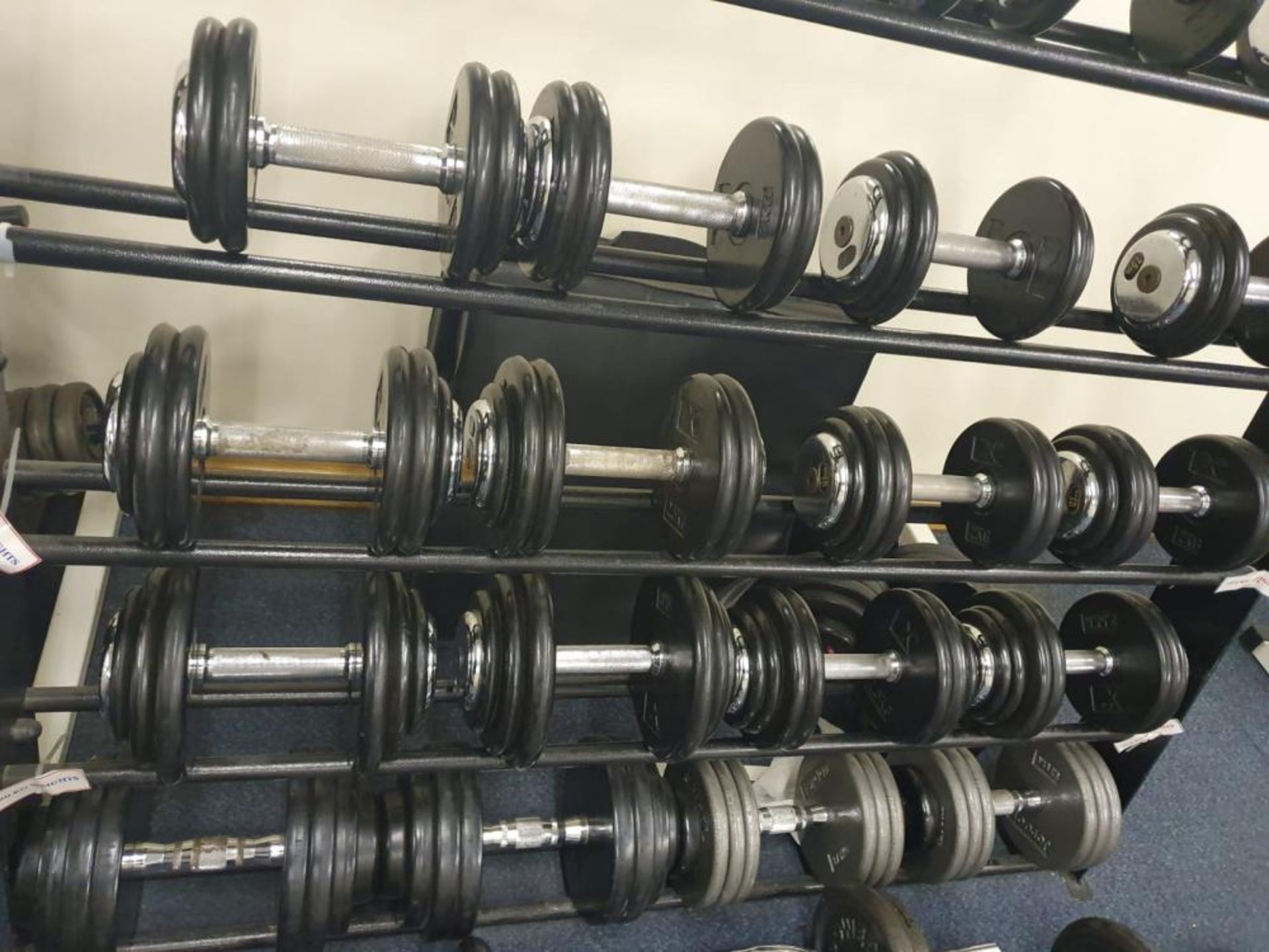 Large Collection of Various Weights Including Approx 20 x Dumbbell Weights With Stand and More - Pro - Image 7 of 13