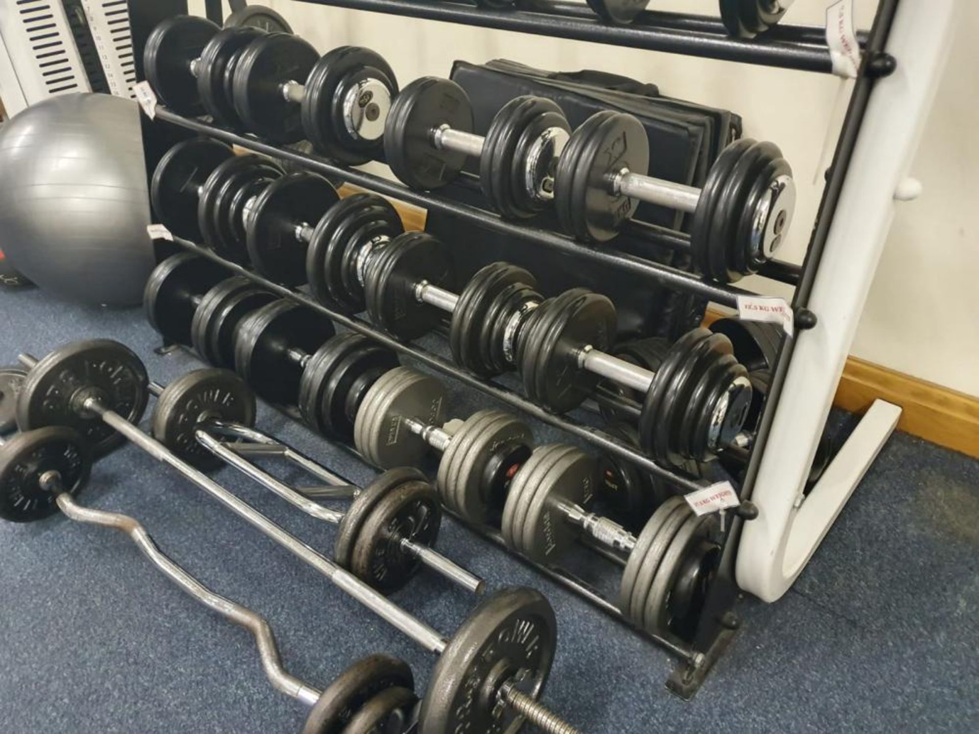 Large Collection of Various Weights Including Approx 20 x Dumbbell Weights With Stand and More - Pro - Image 2 of 13